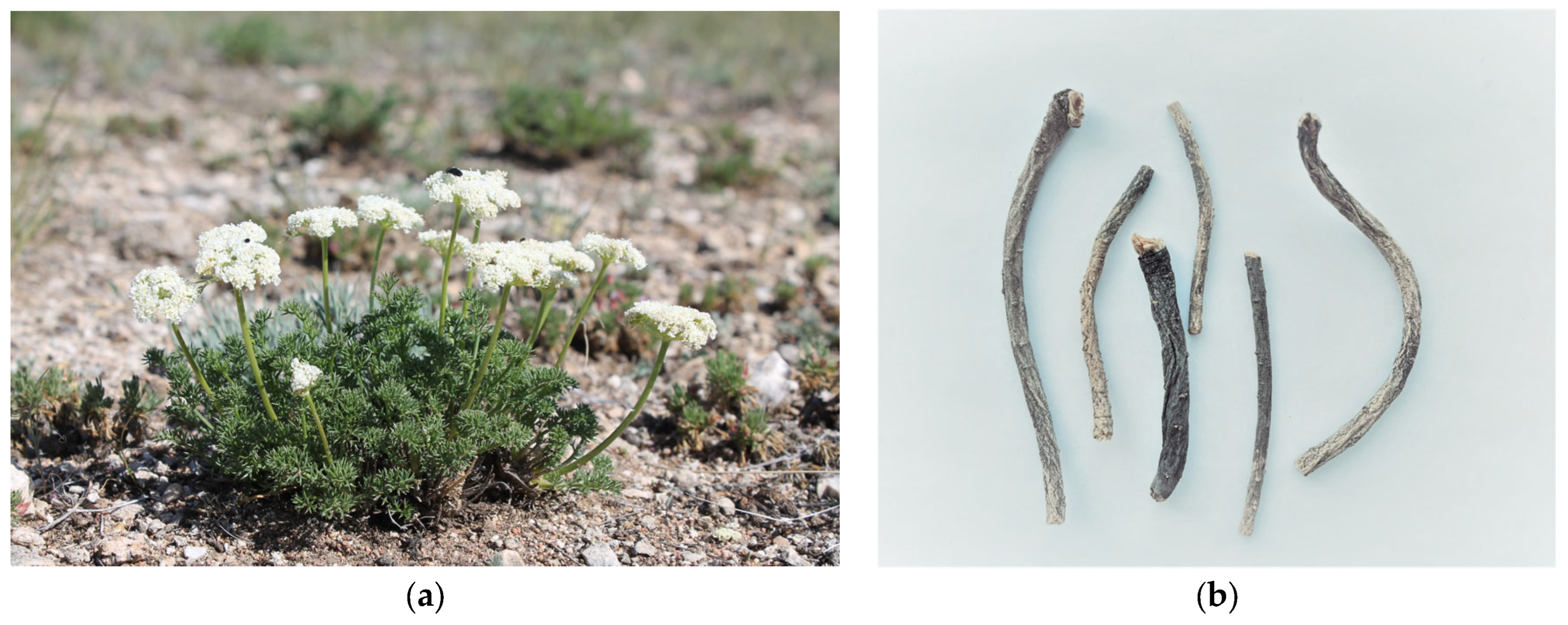 Applsci 13 09653 g001