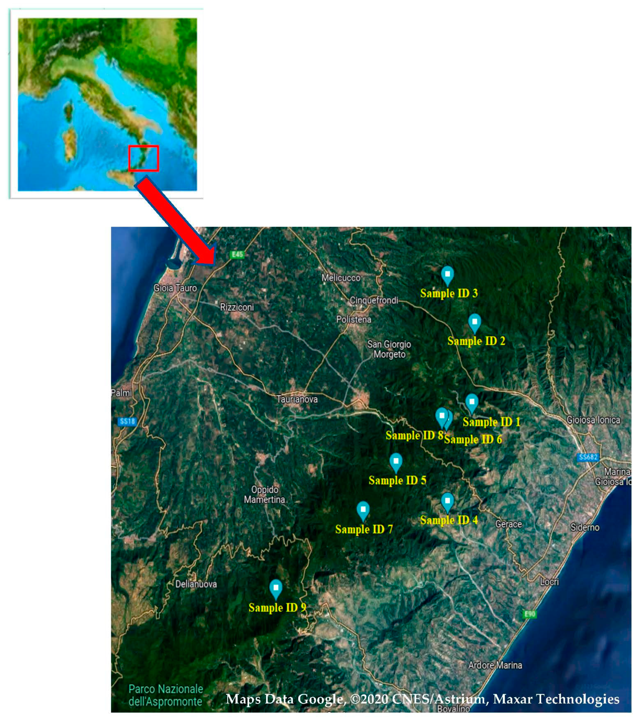 Applsci 13 09660 g001