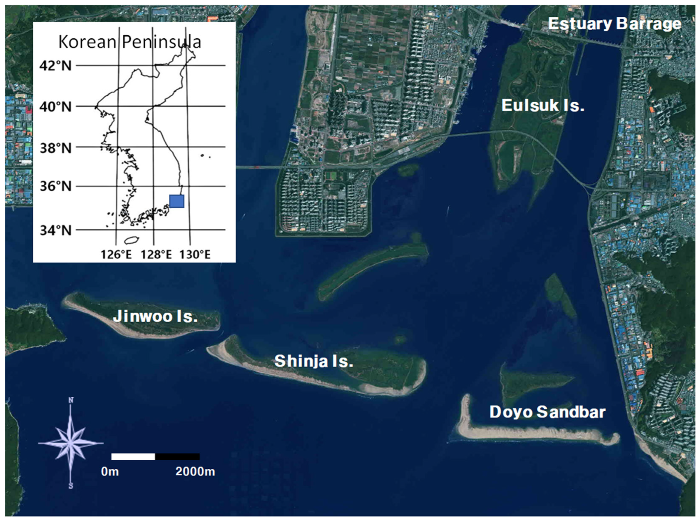 Applsci 13 09661 g001