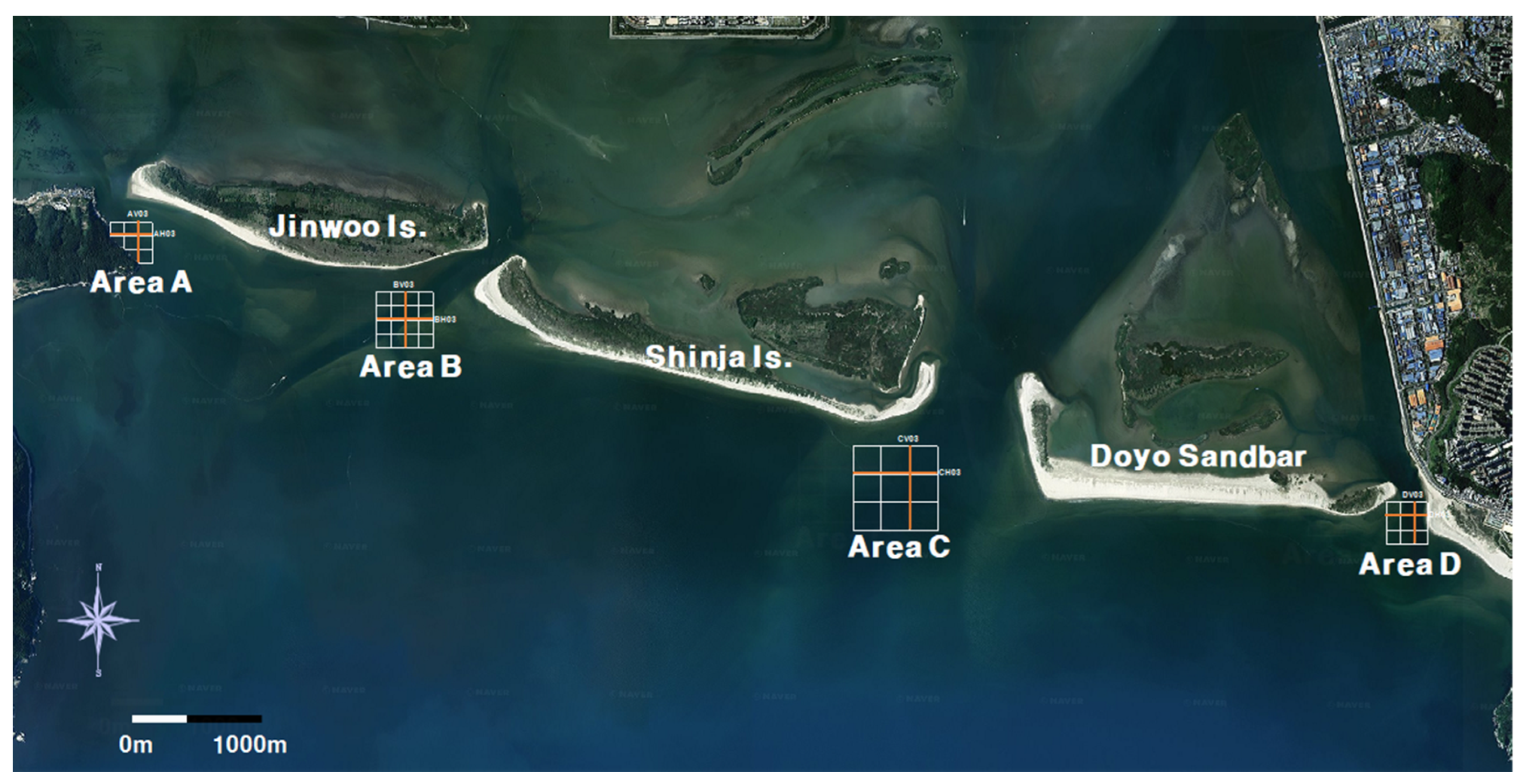 Applsci 13 09661 g005