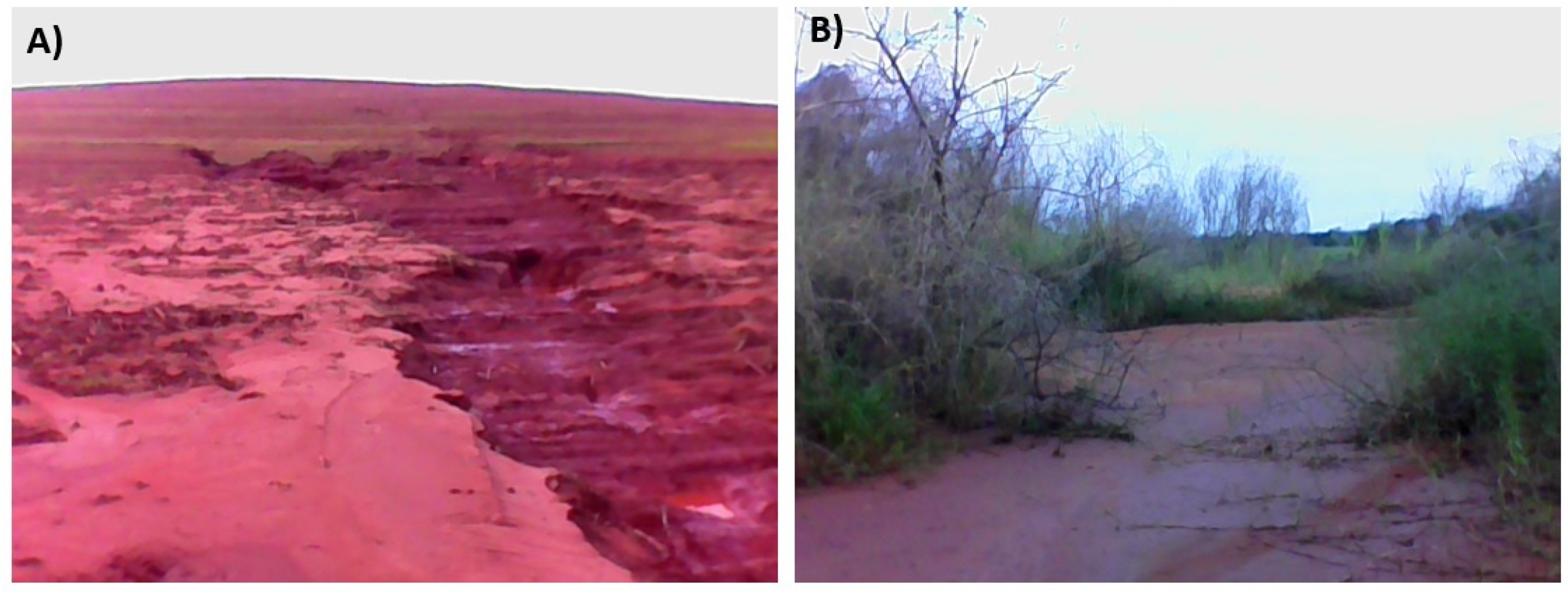 Applsci 13 09678 g006