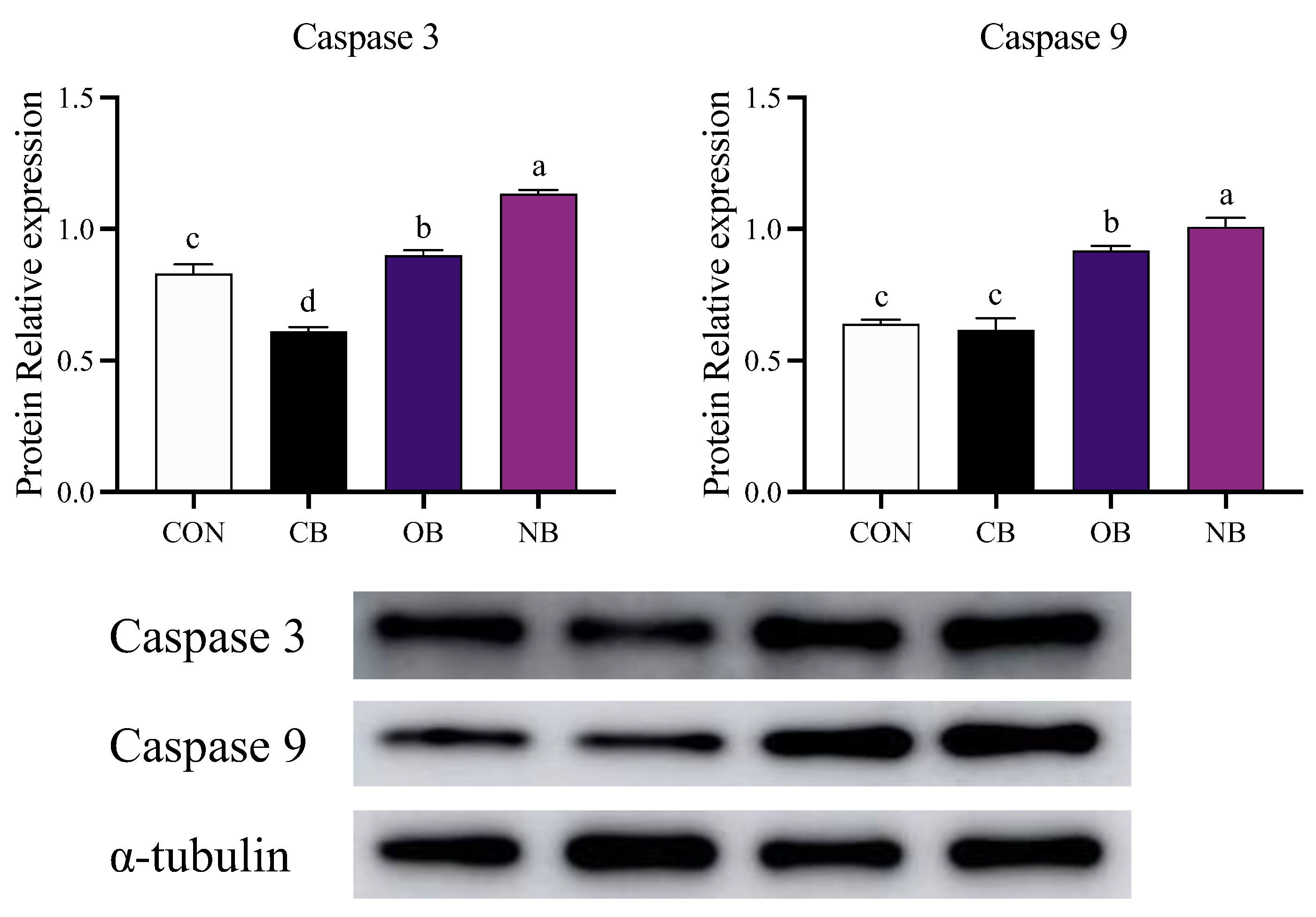Applsci 13 09684 g005 Applsci 13 09684 g005
