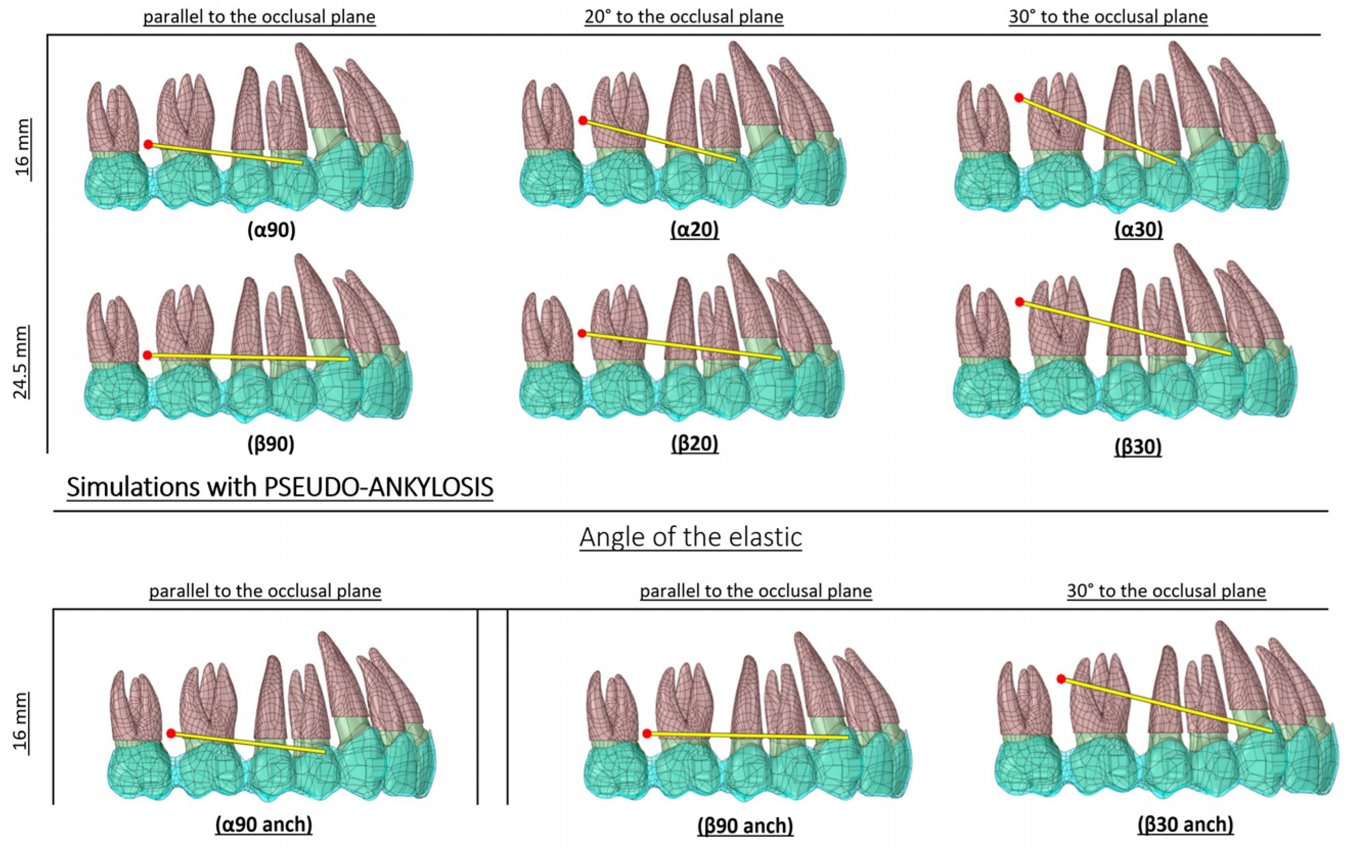 Applsci 13 09695 g002