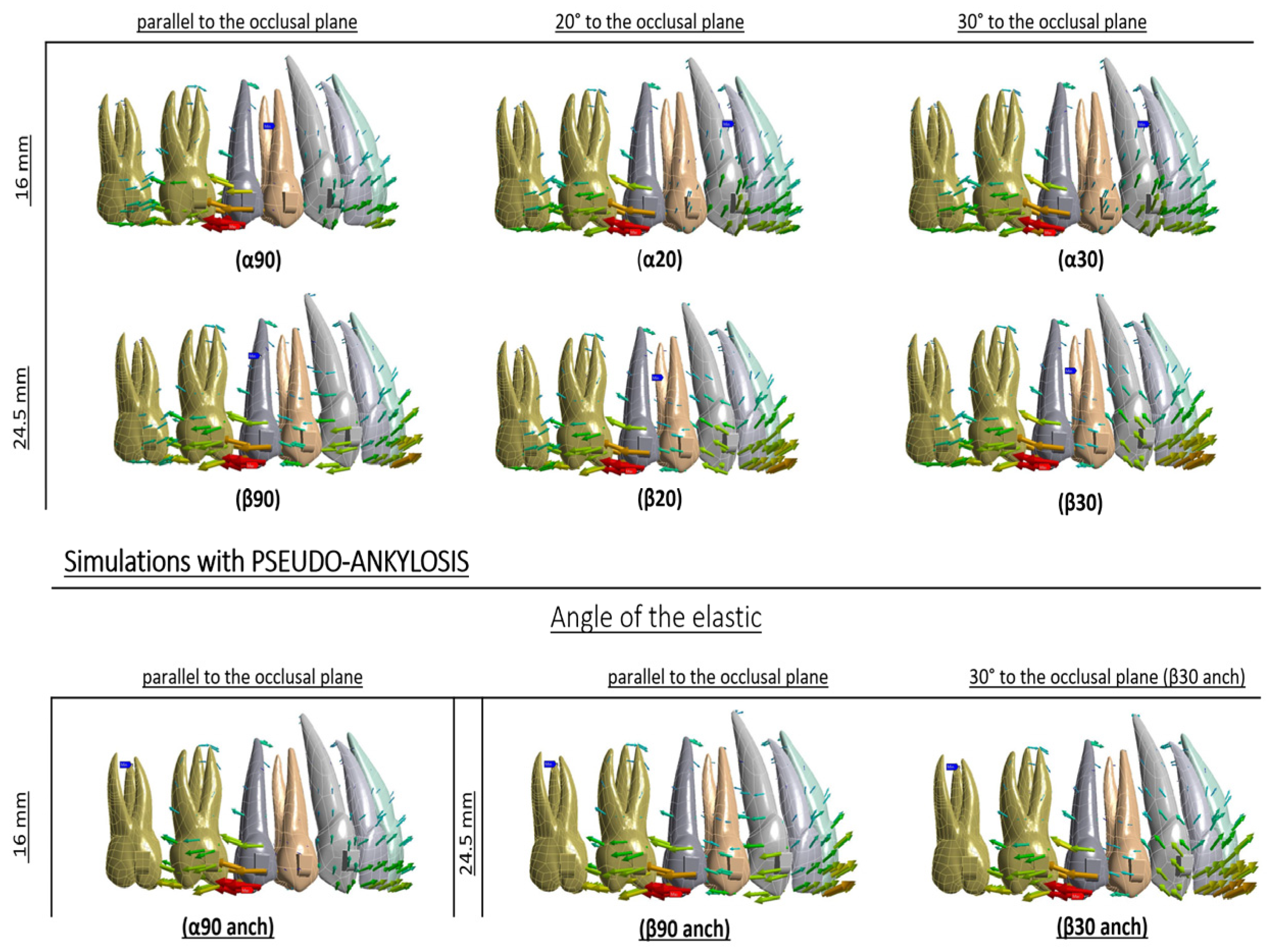 Applsci 13 09695 g004
