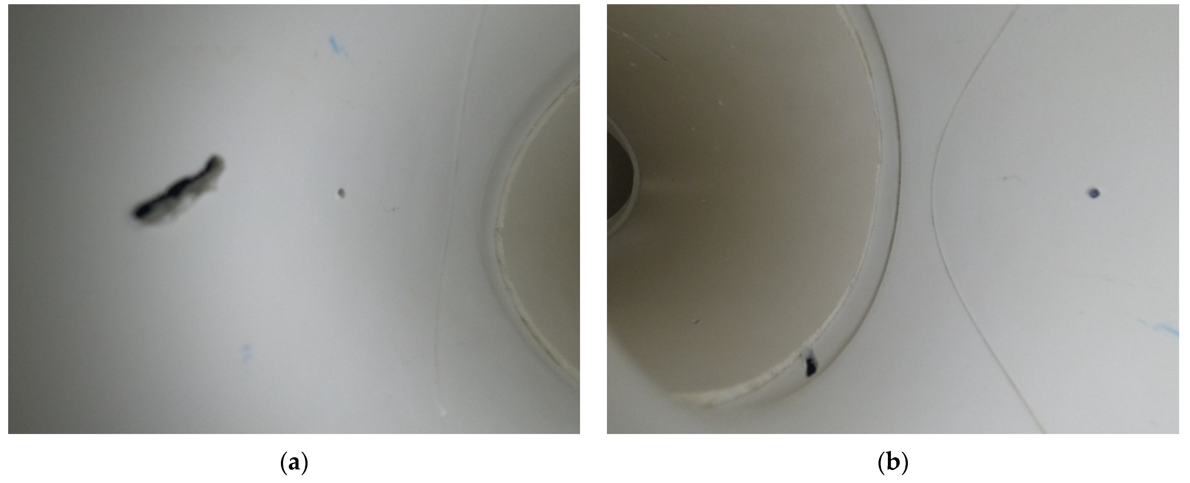 Applsci 13 09697 g002