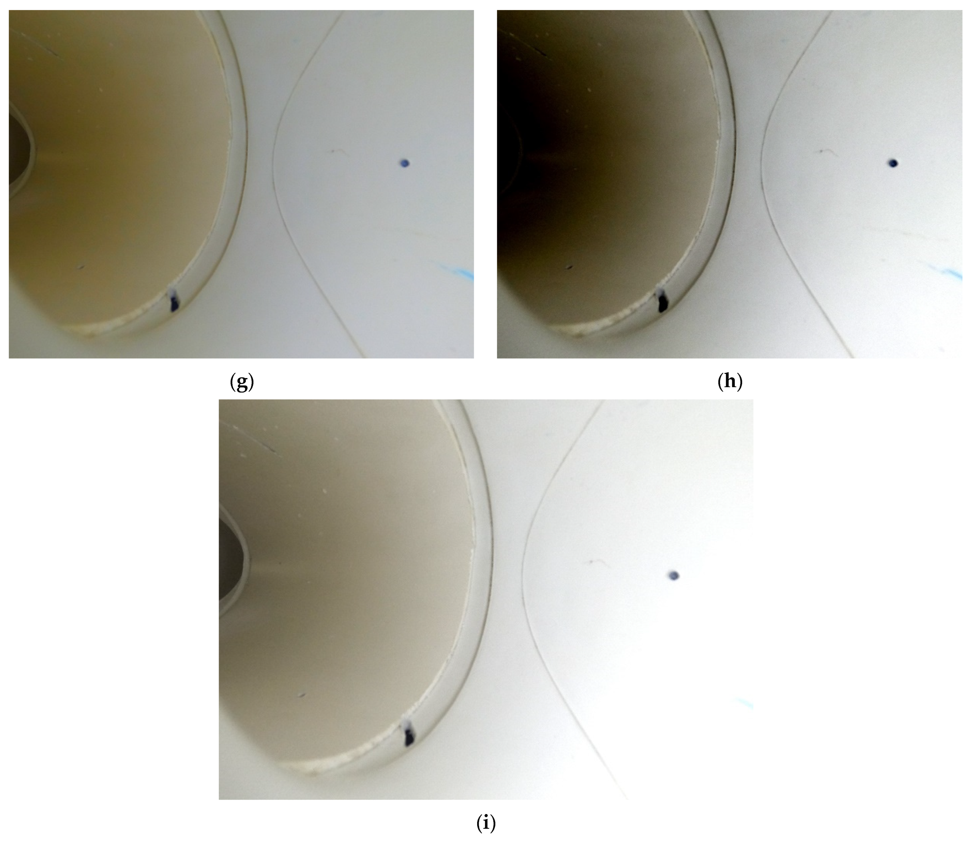 Applsci 13 09697 g004b