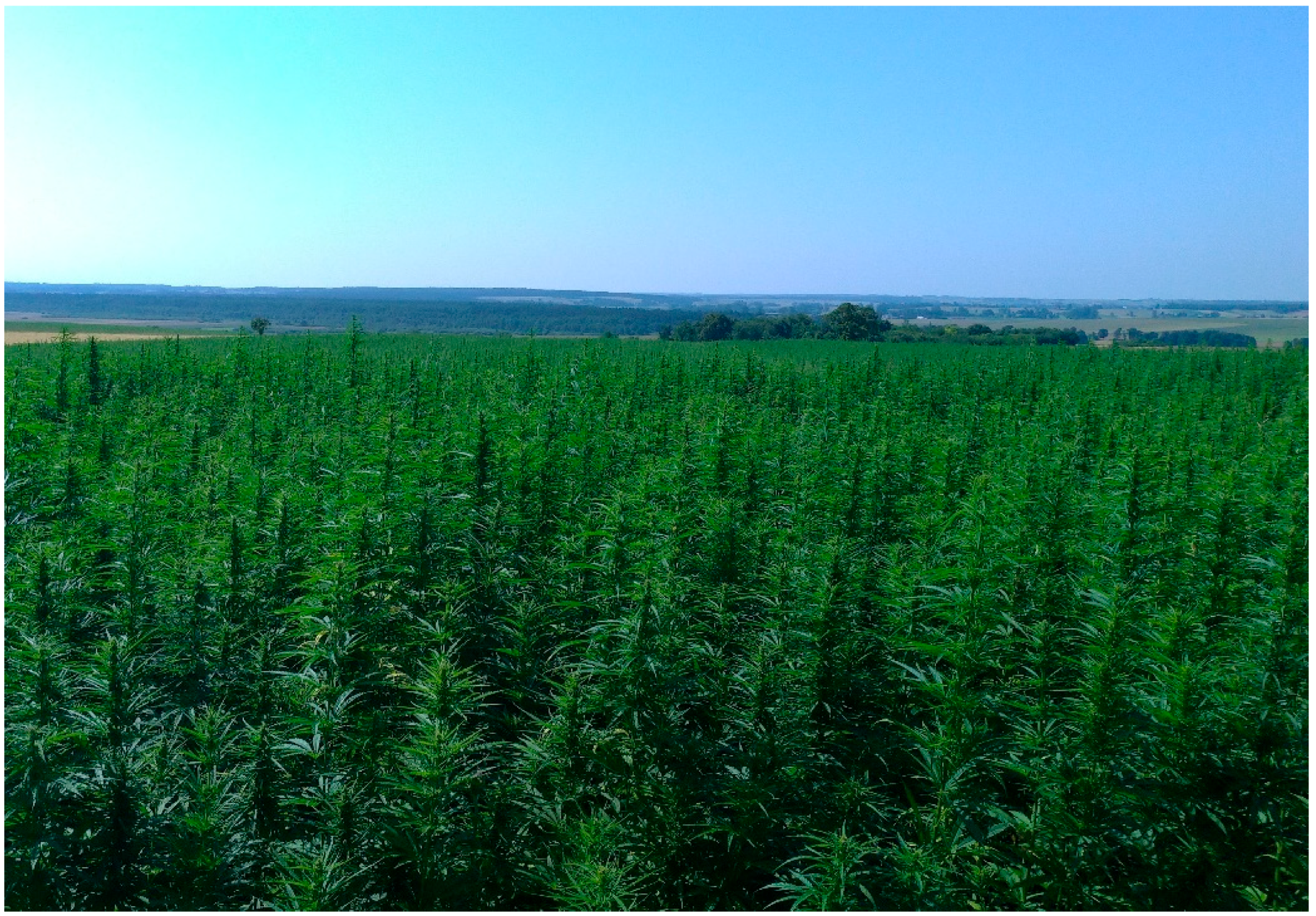 Applsci 13 09733 g003