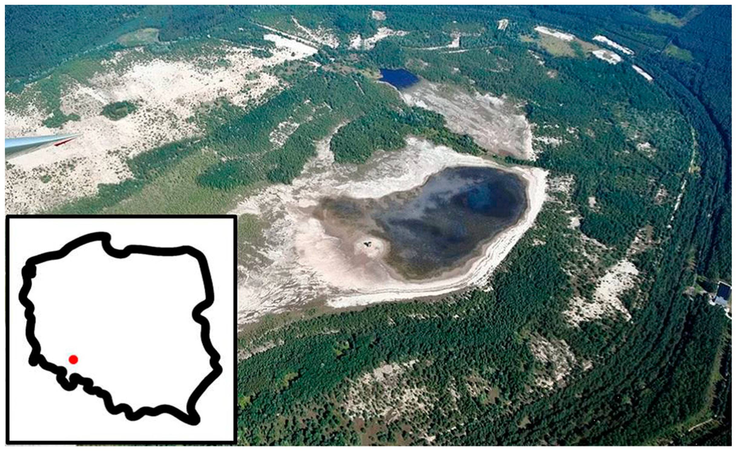 Applsci 13 09736 g001