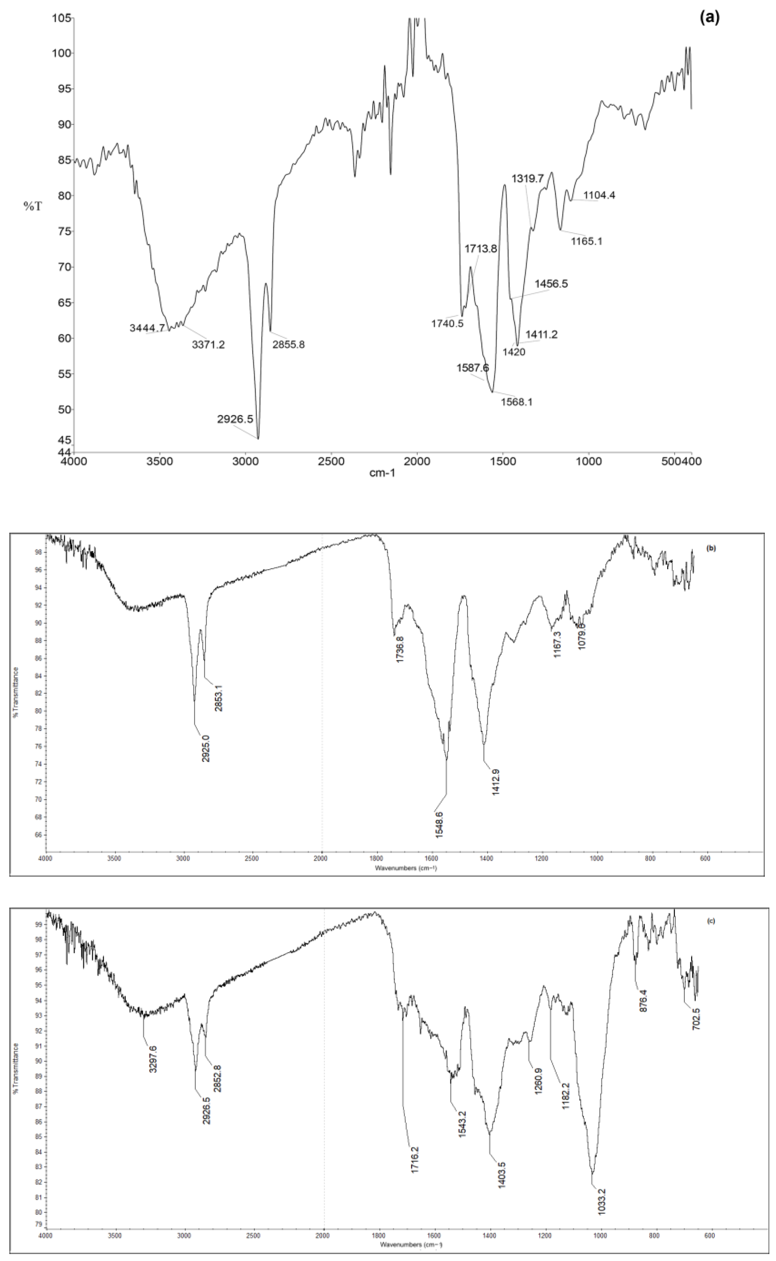 Applsci 13 09739 g004