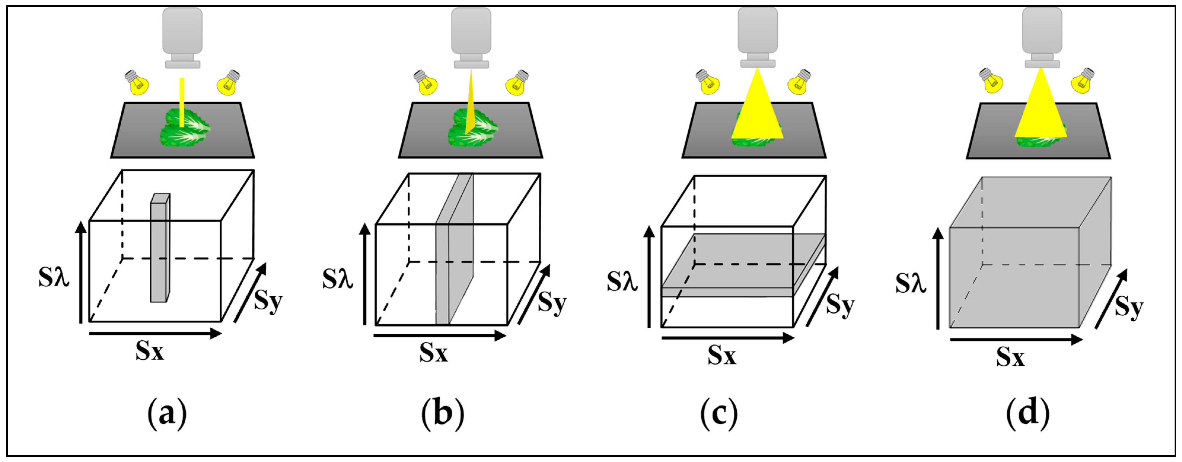 Applsci 13 09740 g003
