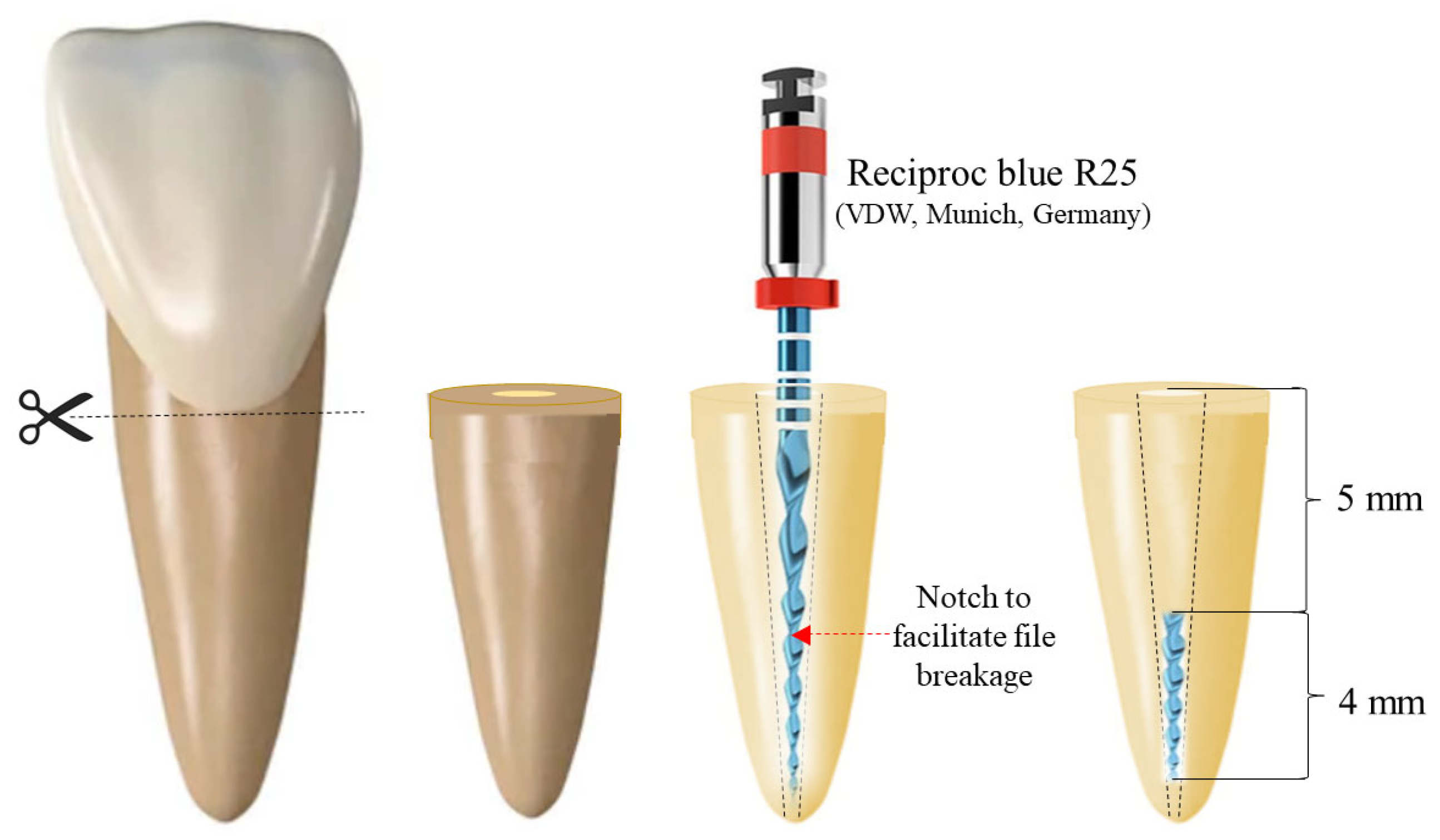 Applsci 13 09761 g001