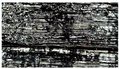 Applsci 13 09777 i002