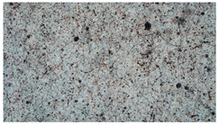 Applsci 13 09777 i009