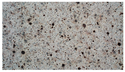 Applsci 13 09777 i010