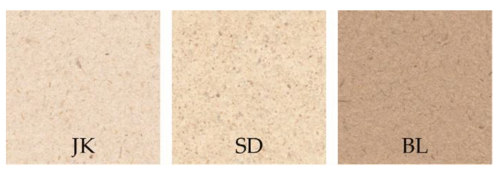 Applsci 13 09779 g001