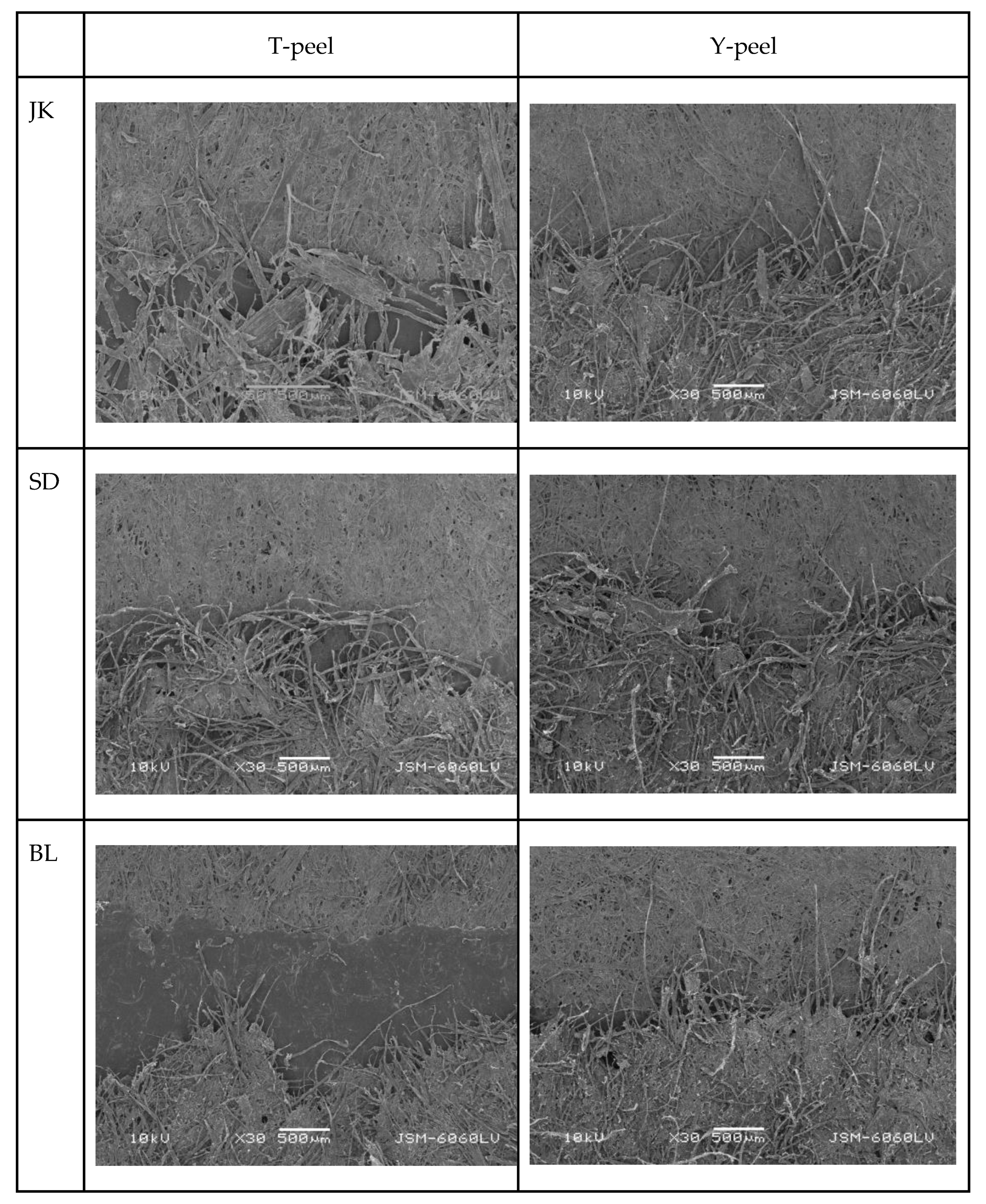 Applsci 13 09779 g009