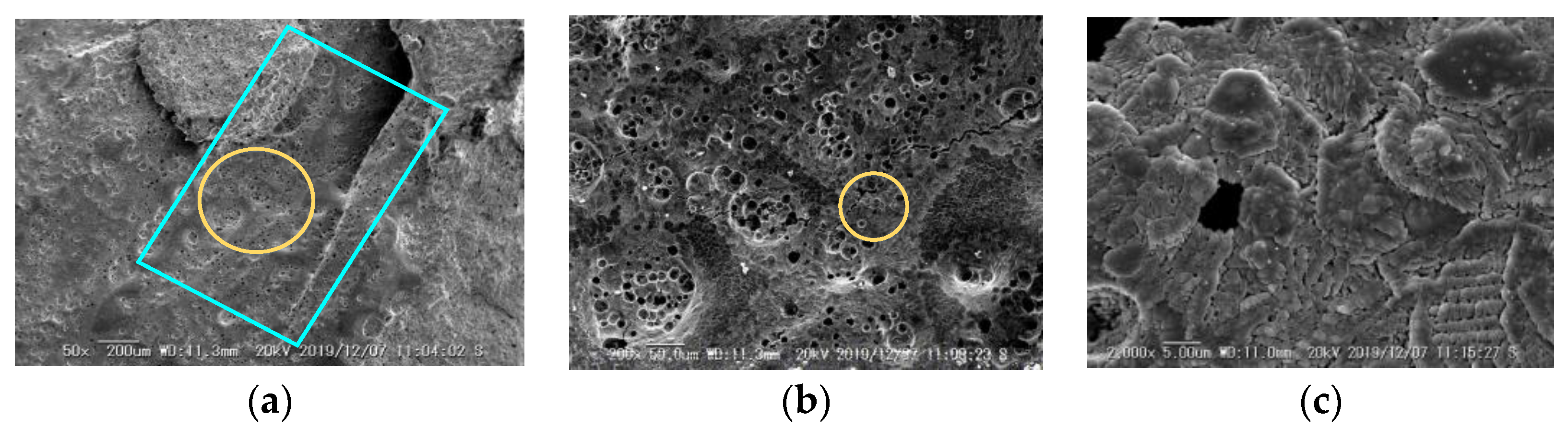 Applsci 13 09784 g020