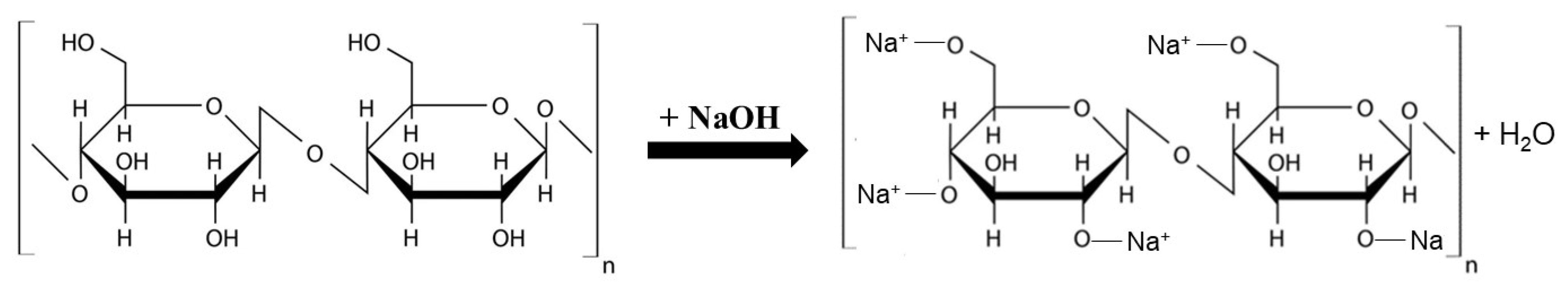 Applsci 13 09798 g001