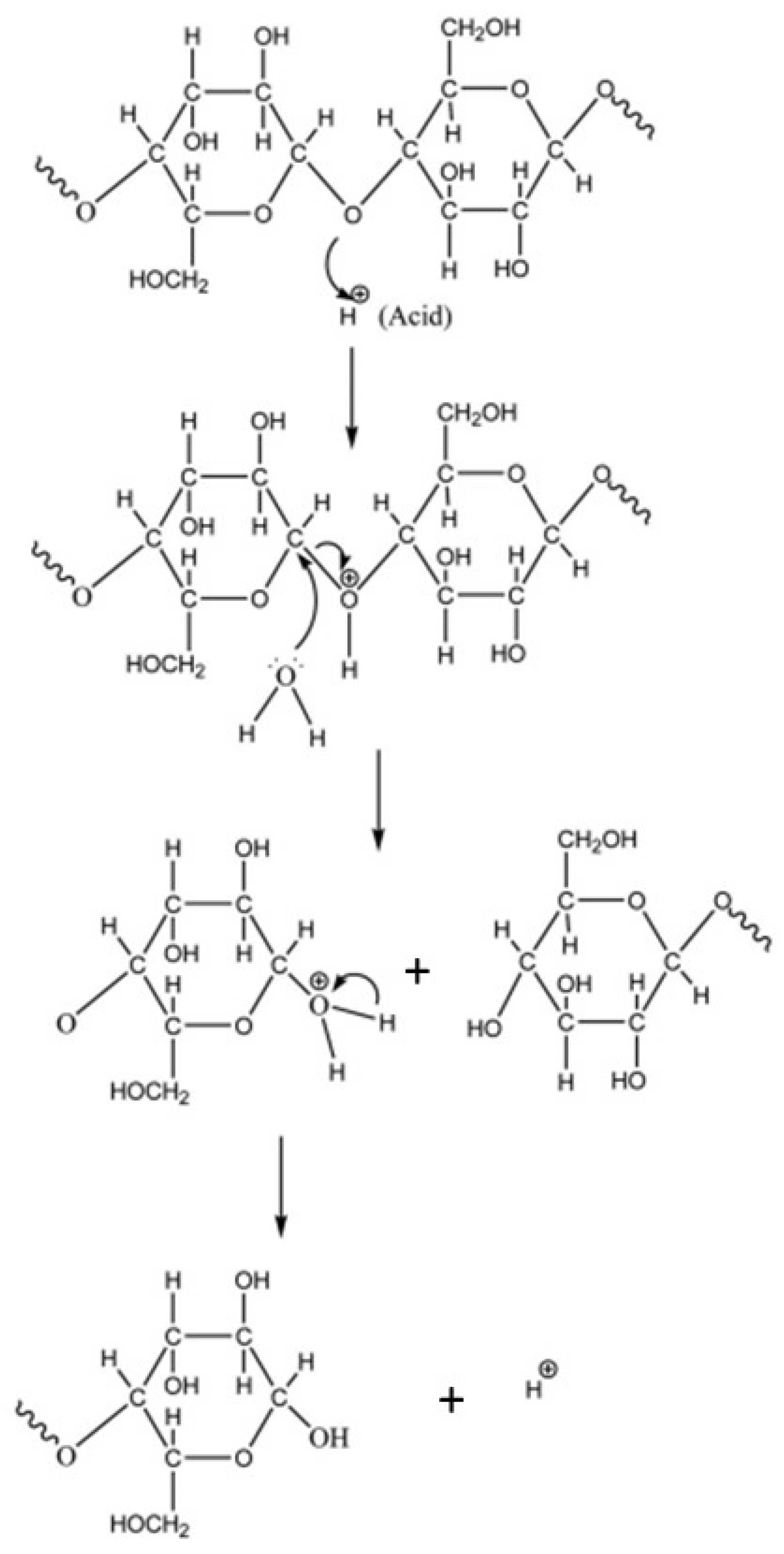 Applsci 13 09798 g002