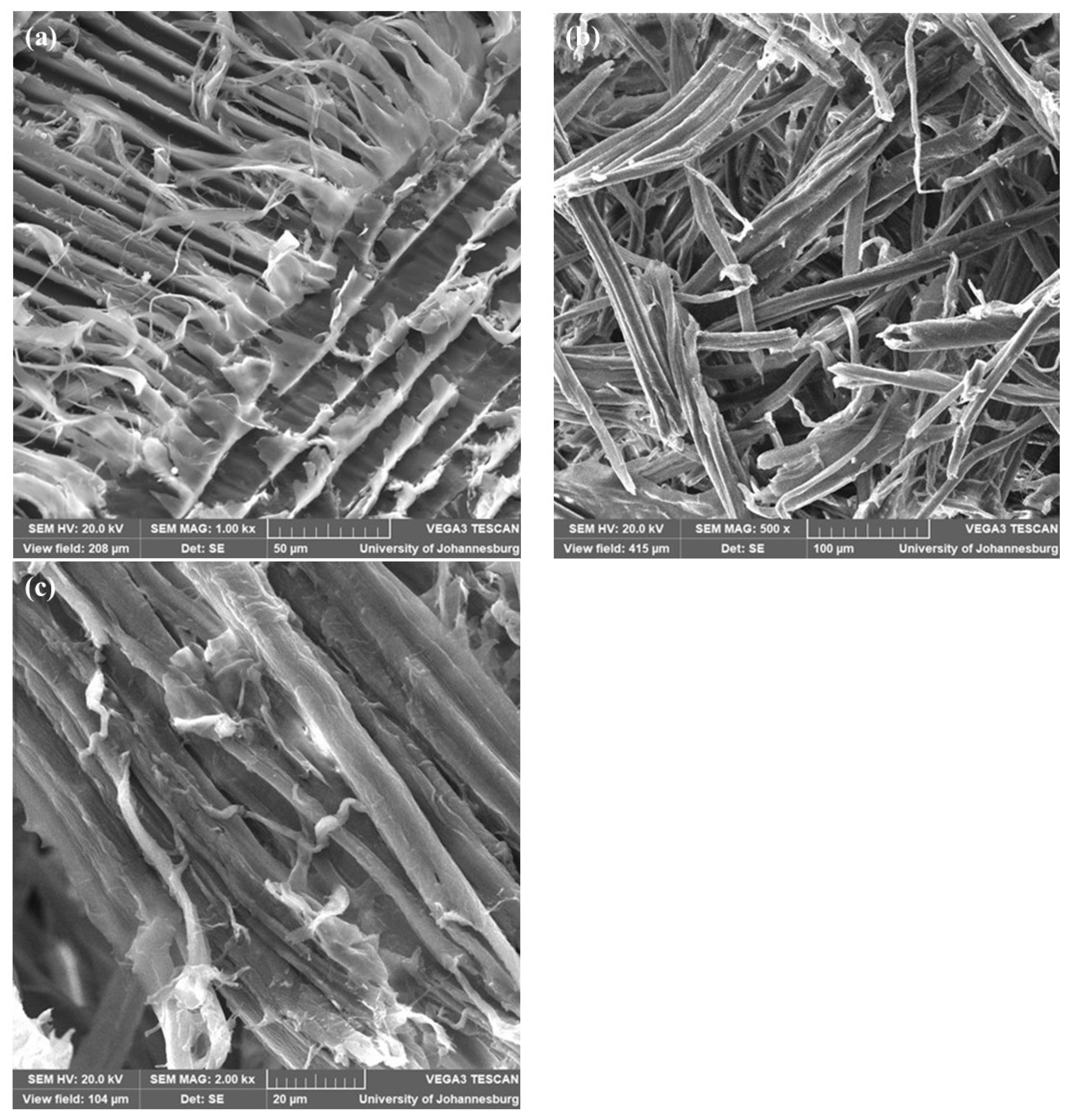 Applsci 13 09798 g006