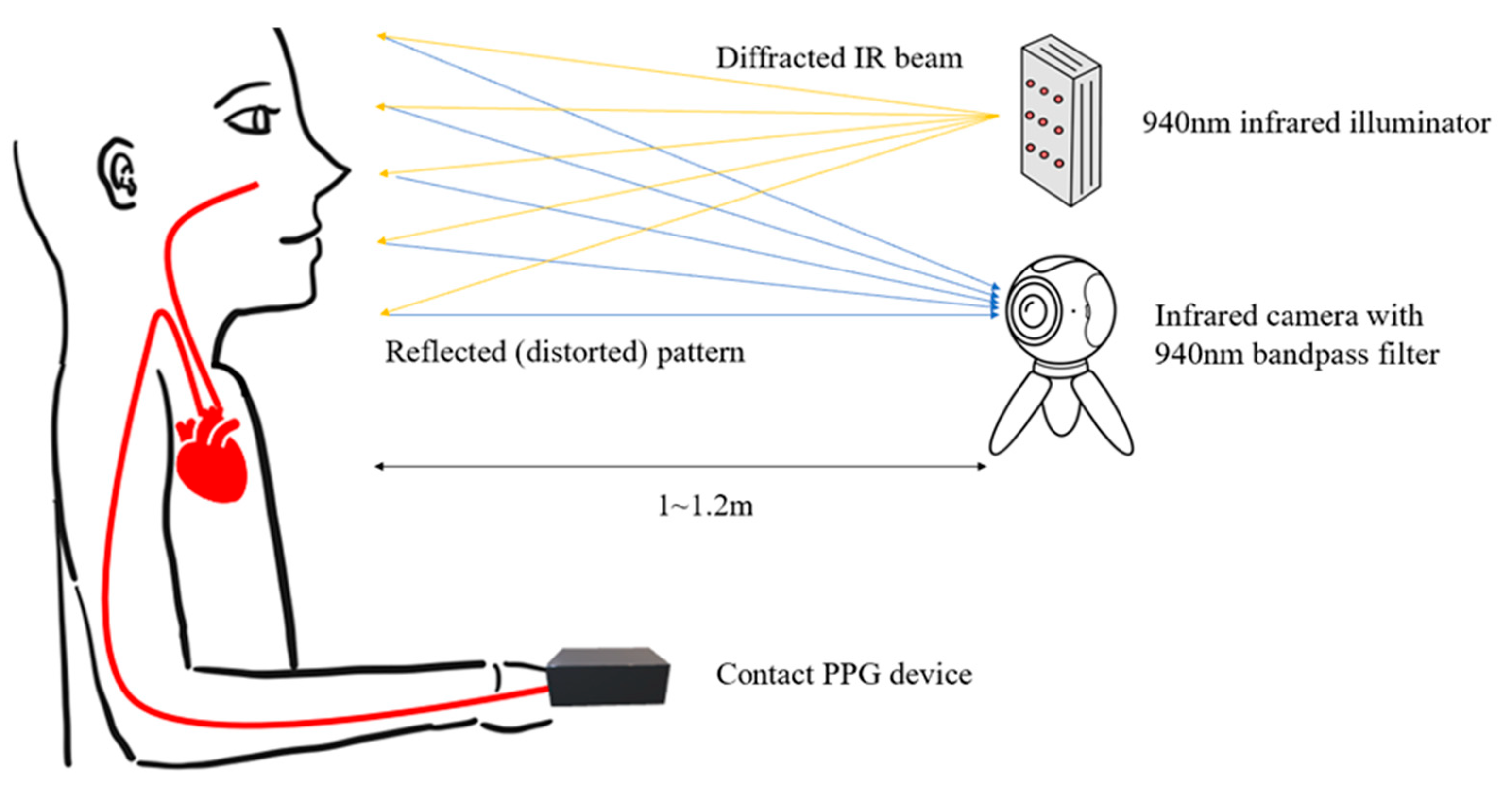 Applsci 13 09818 g003