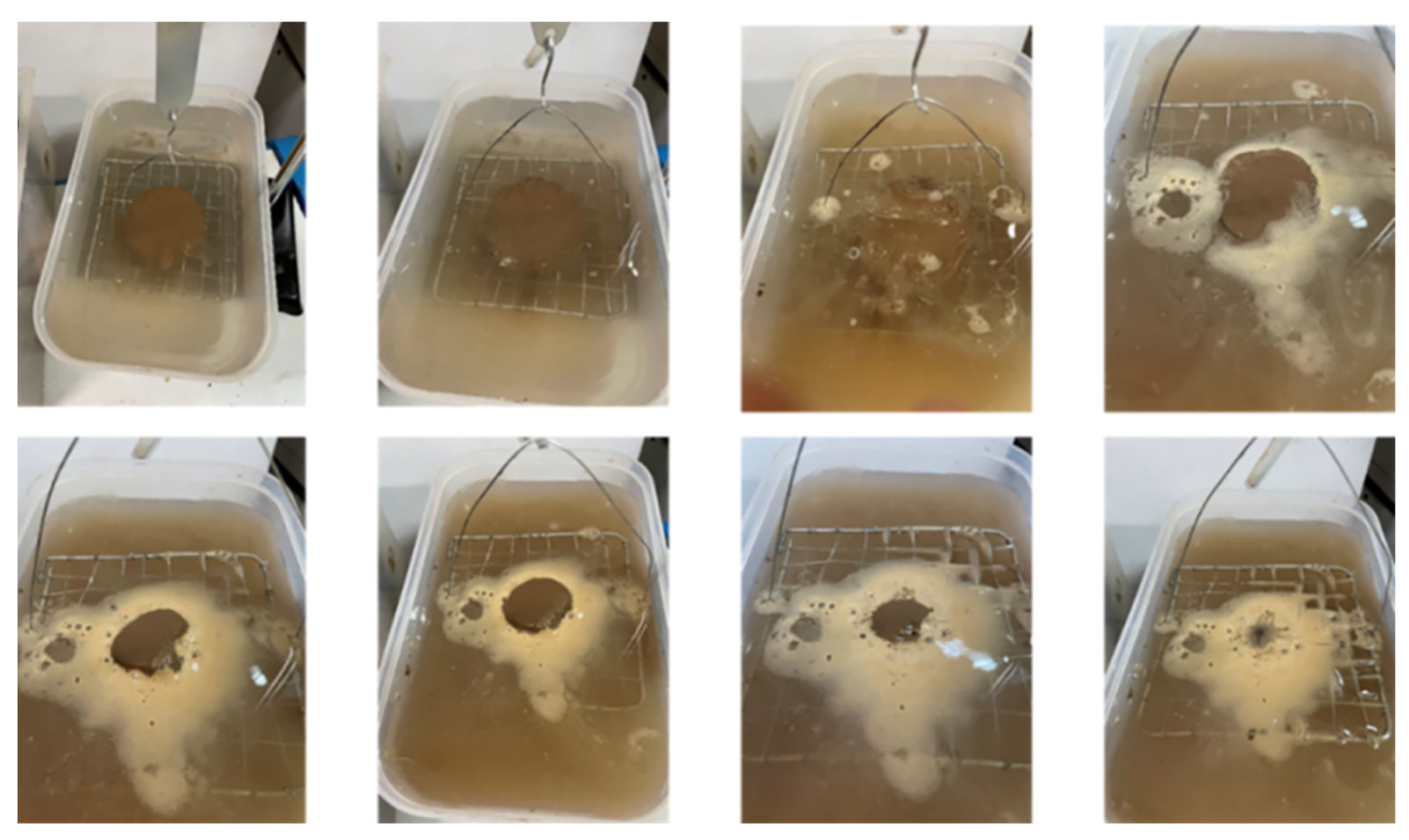 Applsci 13 09819 g008