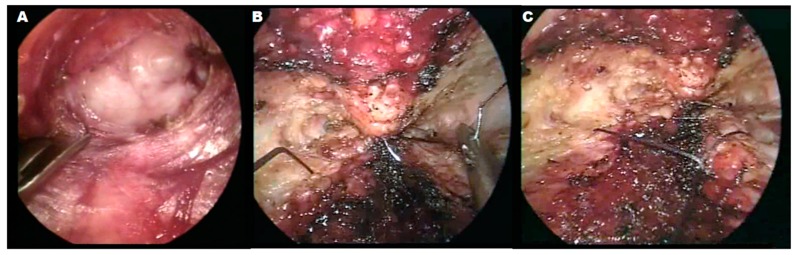 Applsci 13 09841 g002