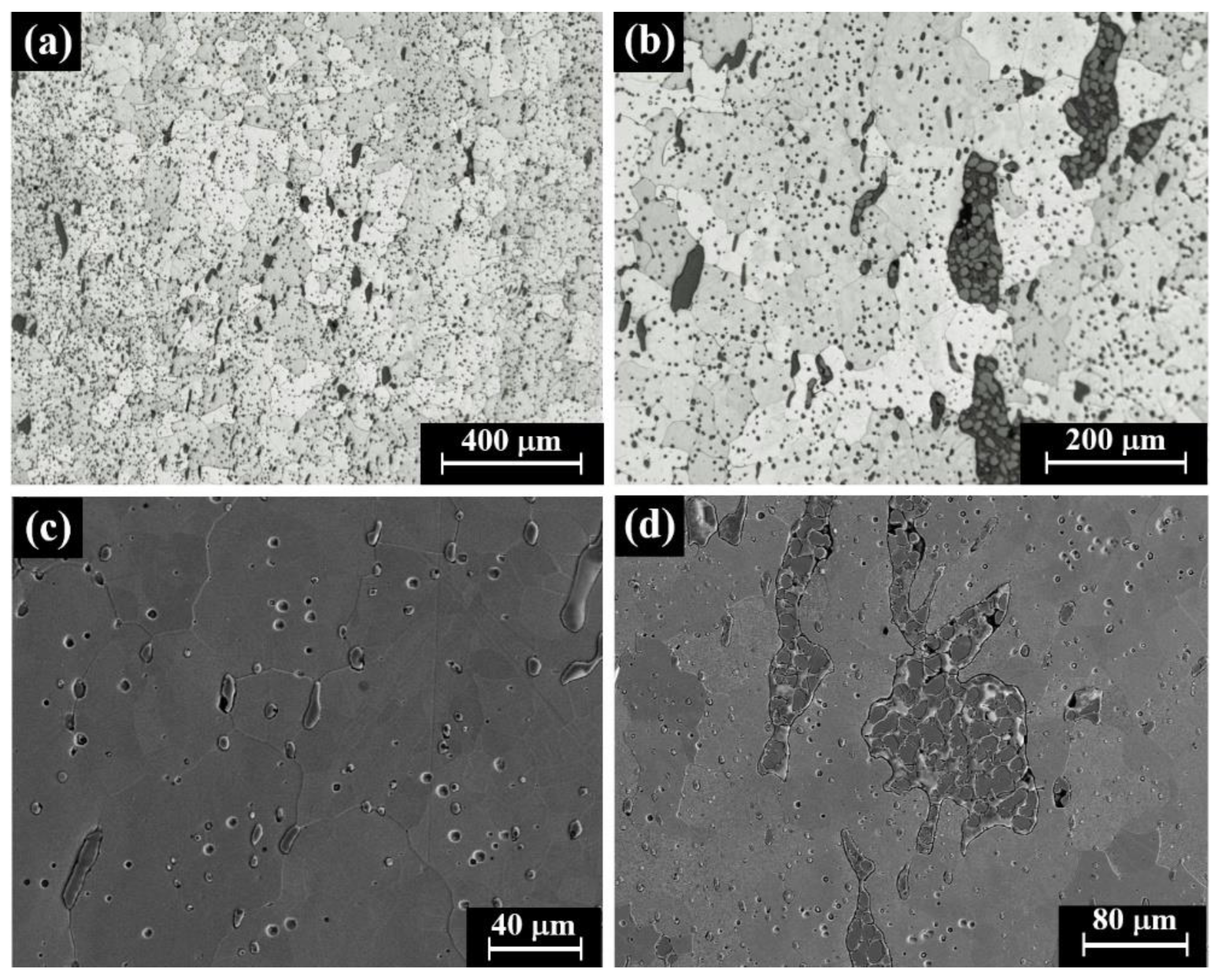 Applsci 13 09845 g008