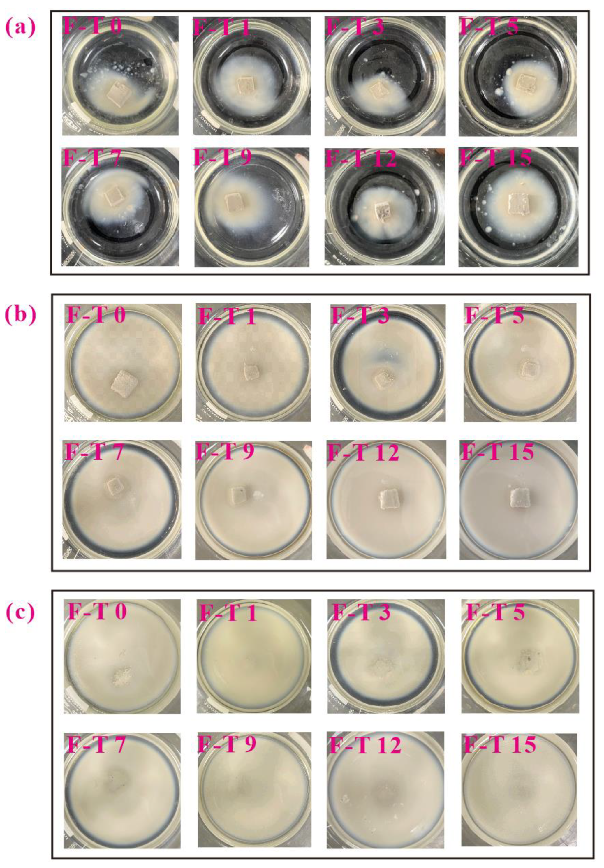 Applsci 13 09849 g005