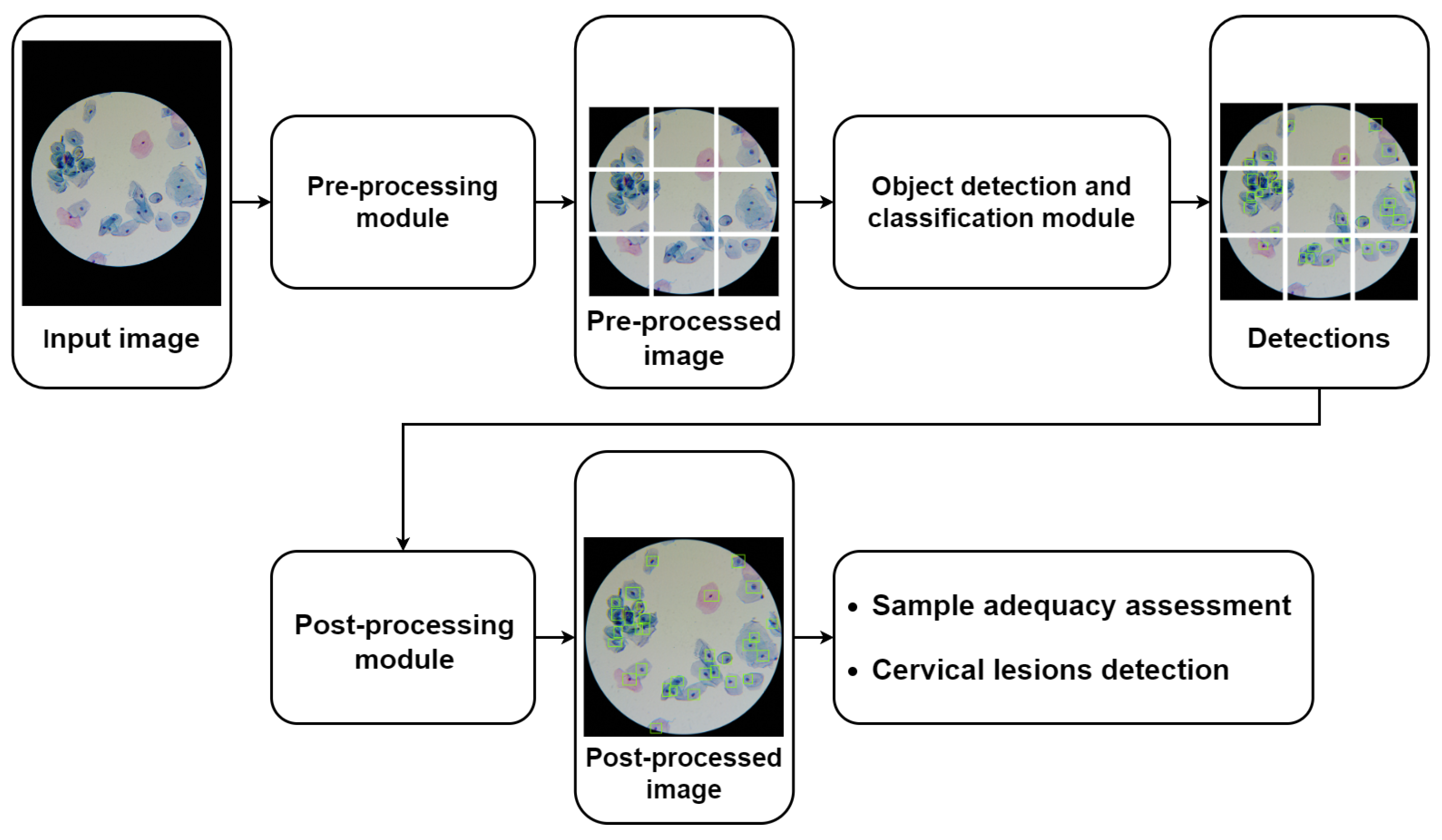 Applsci 13 09850 g004