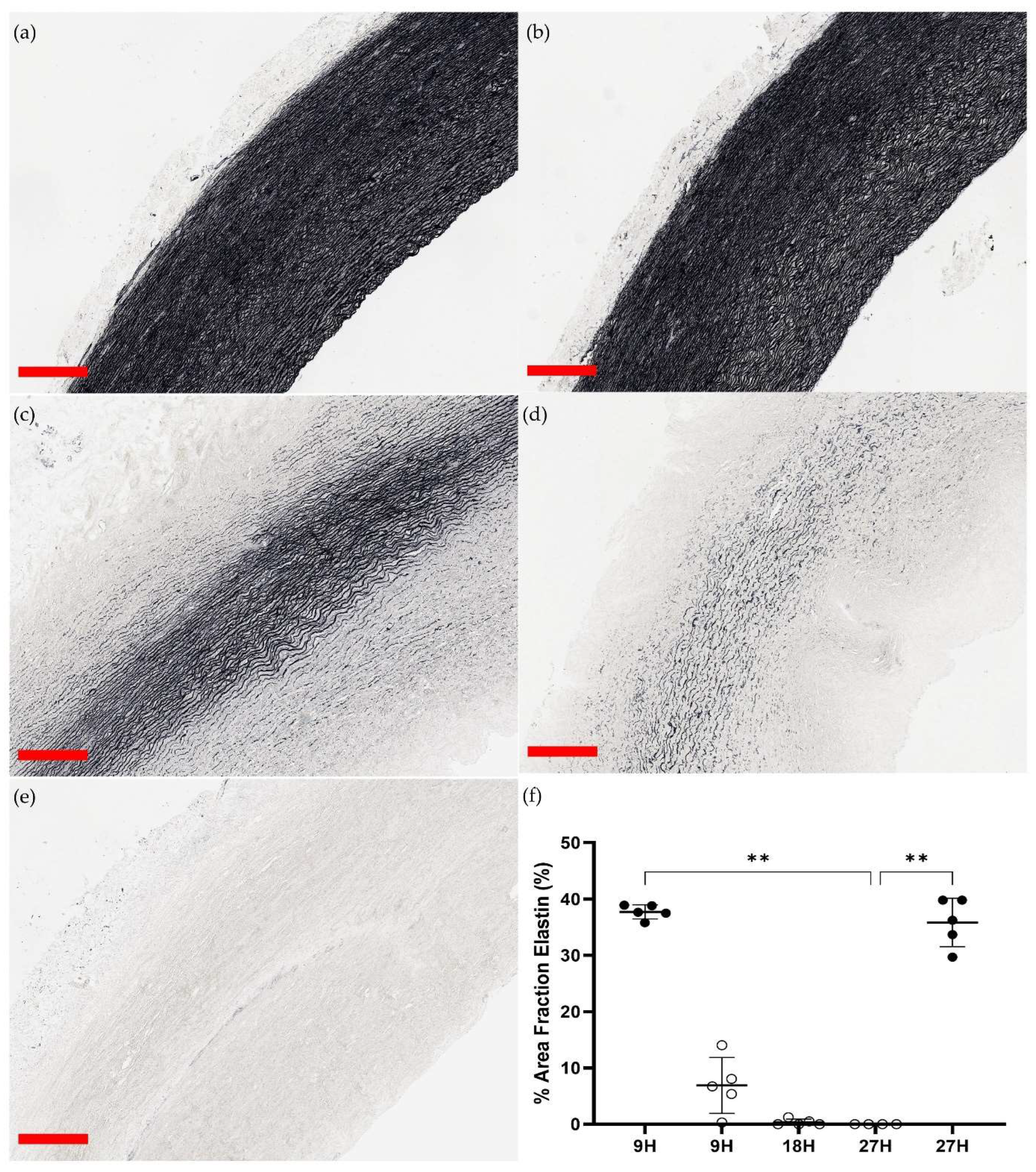 Applsci 13 09894 g003 Applsci 13 09894 g003