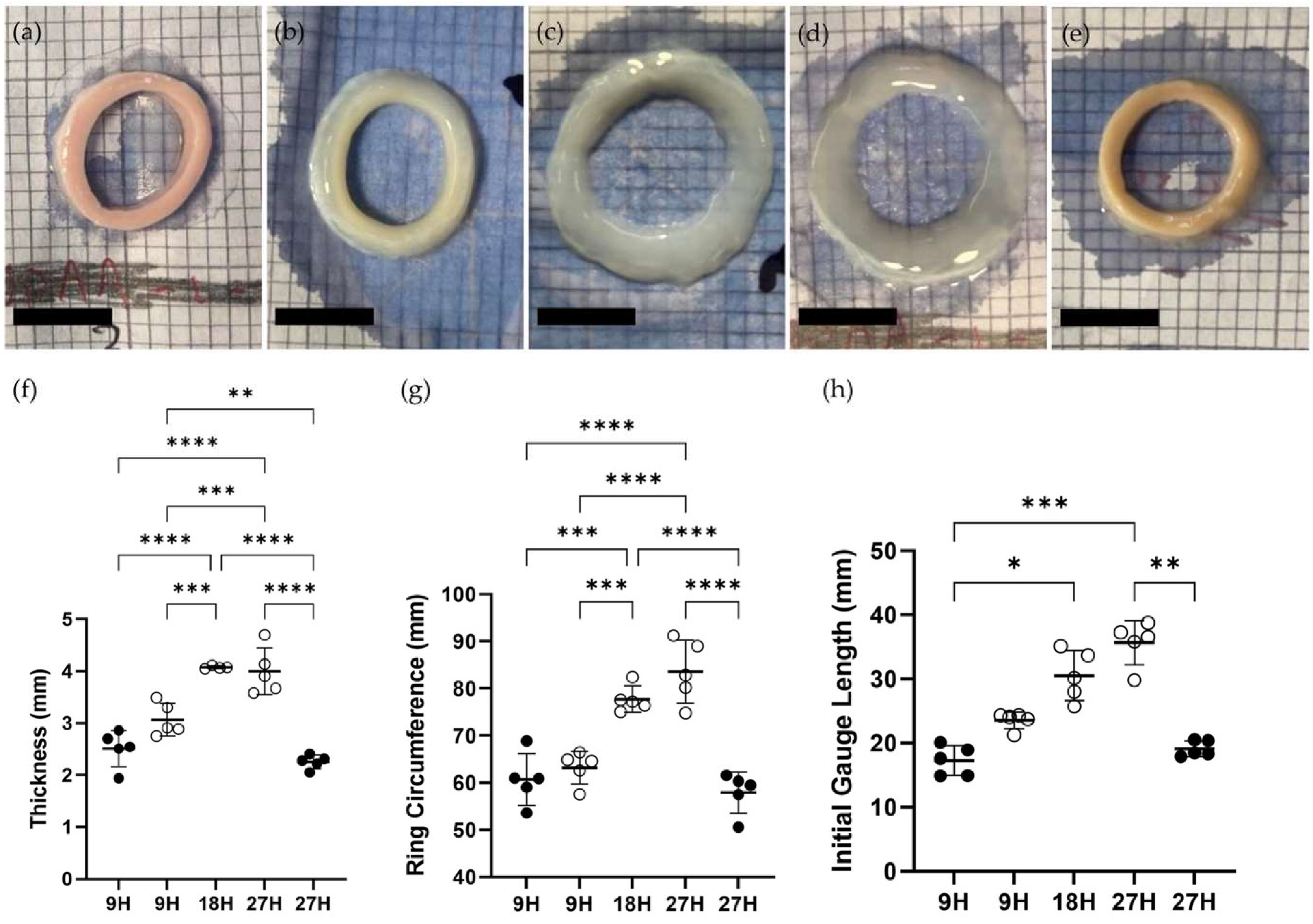 Applsci 13 09894 g004 Applsci 13 09894 g004