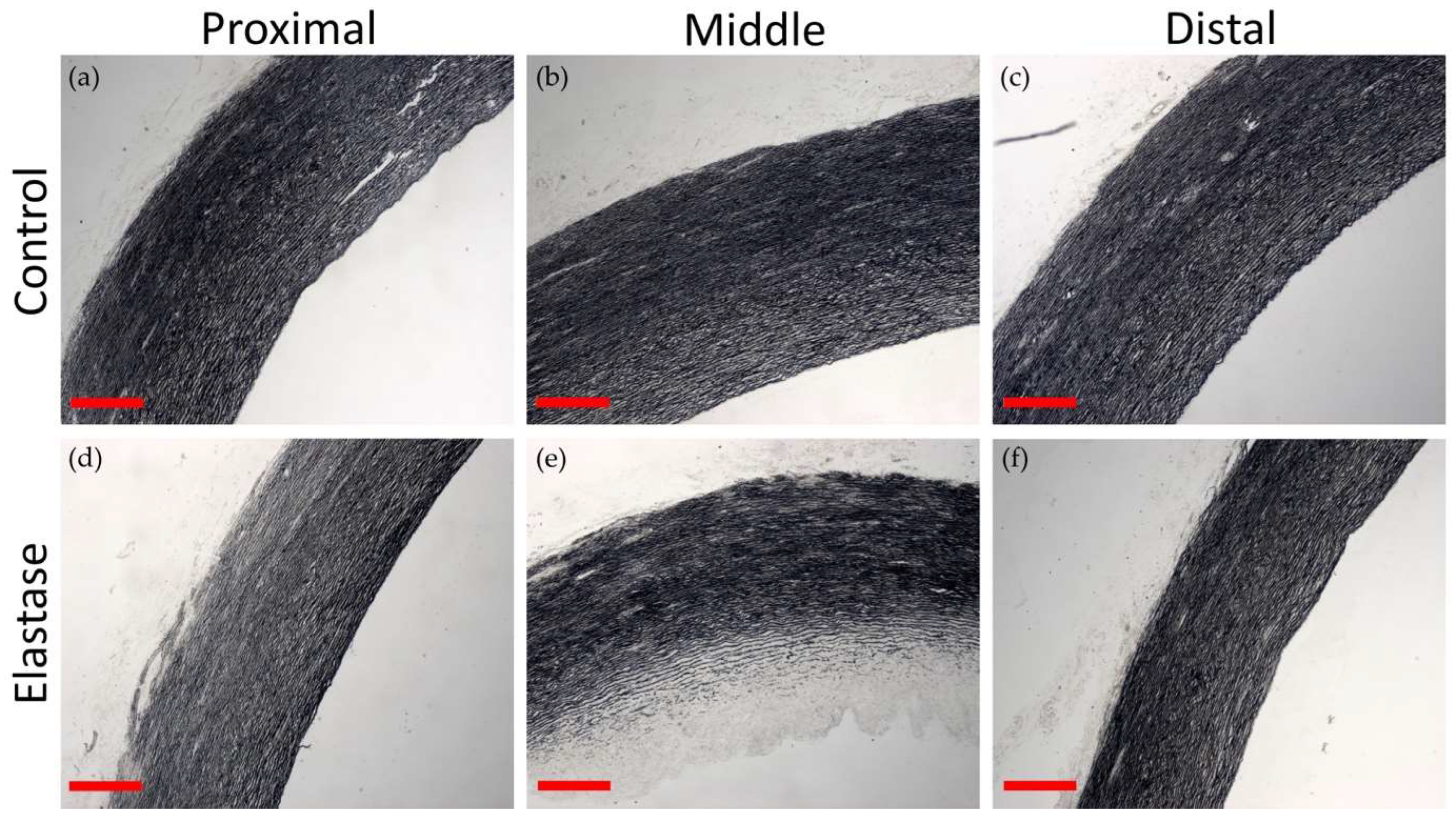 Applsci 13 09894 g008 Applsci 13 09894 g008