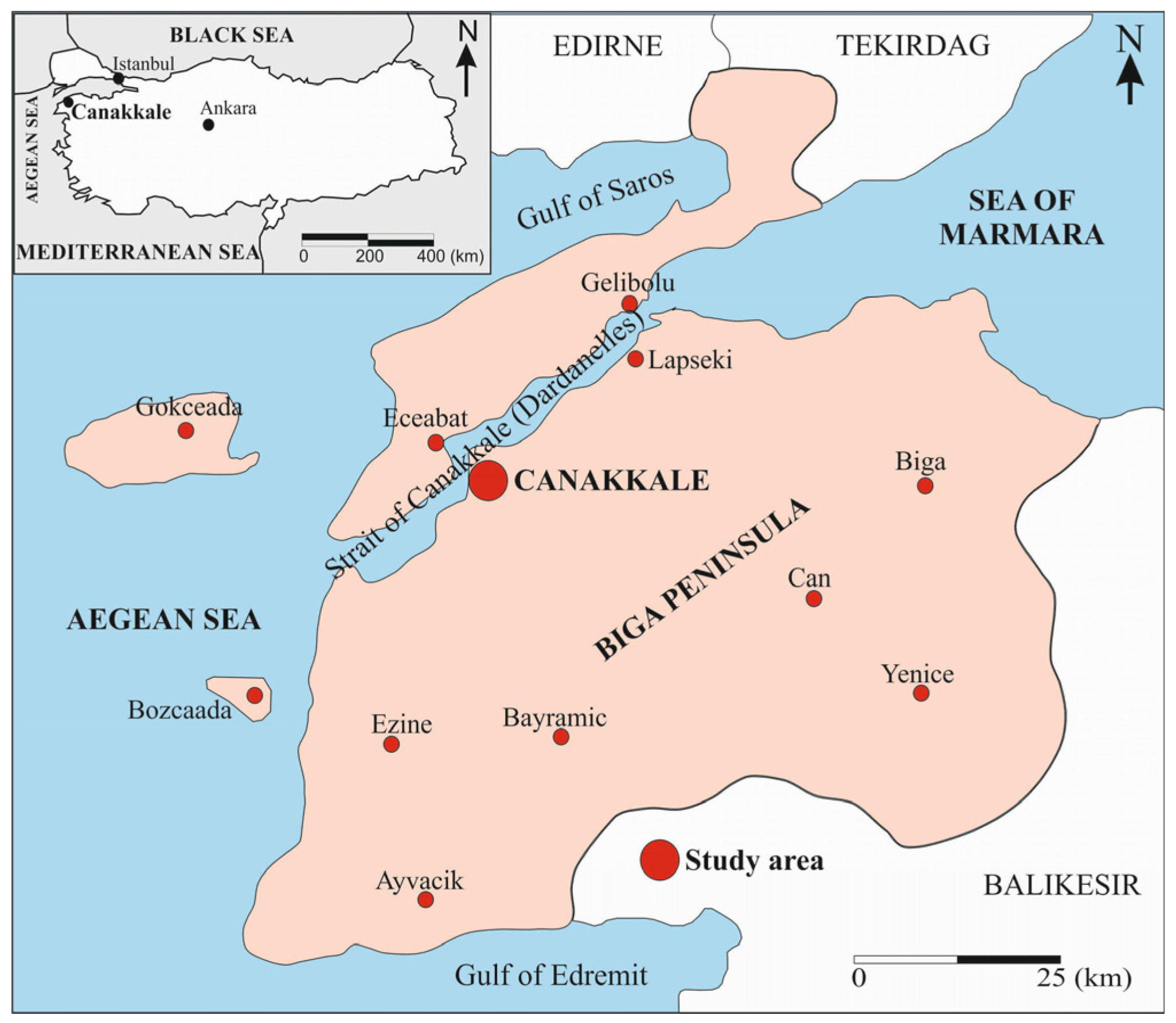 Applsci 13 09913 g001