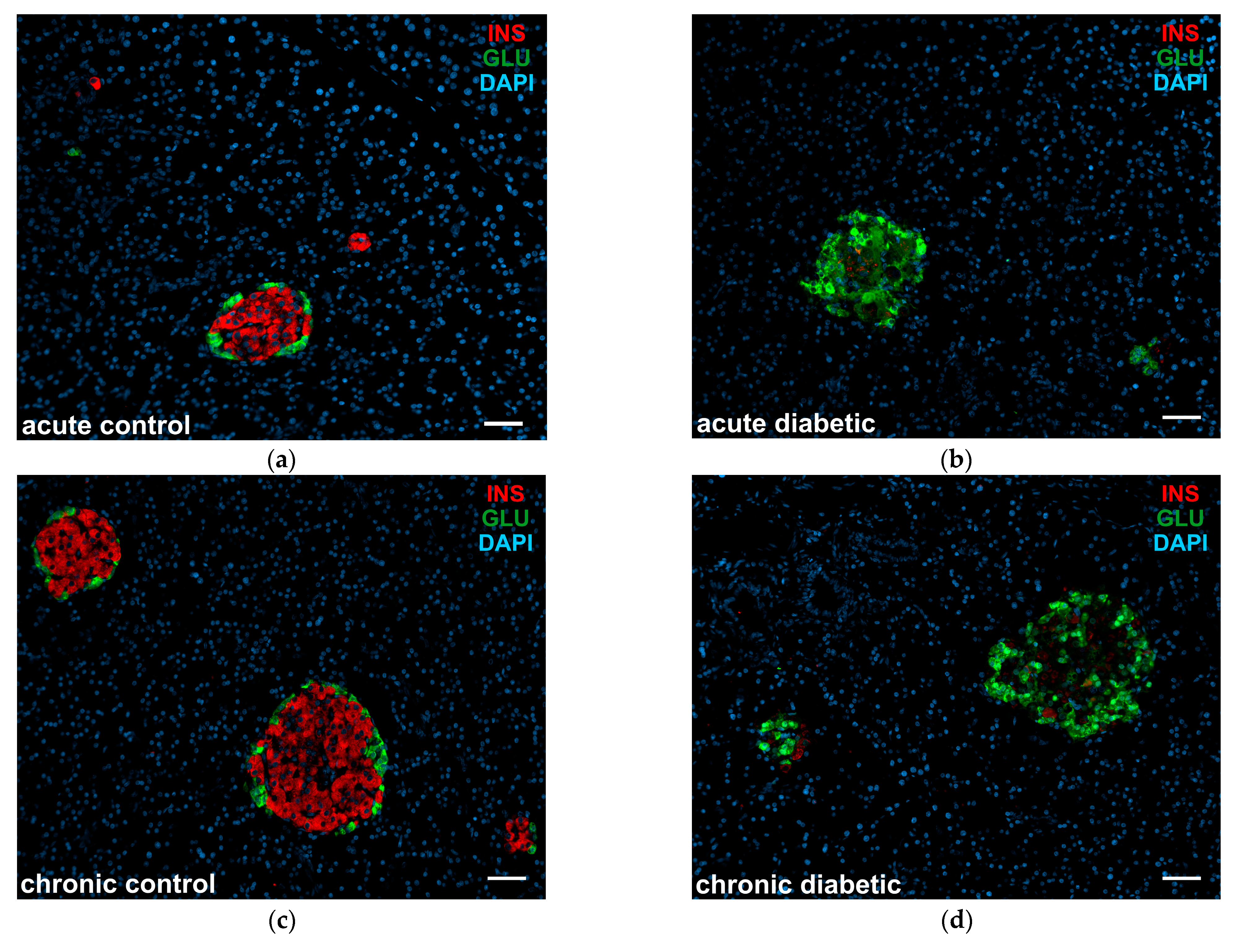 Applsci 13 09920 g001a