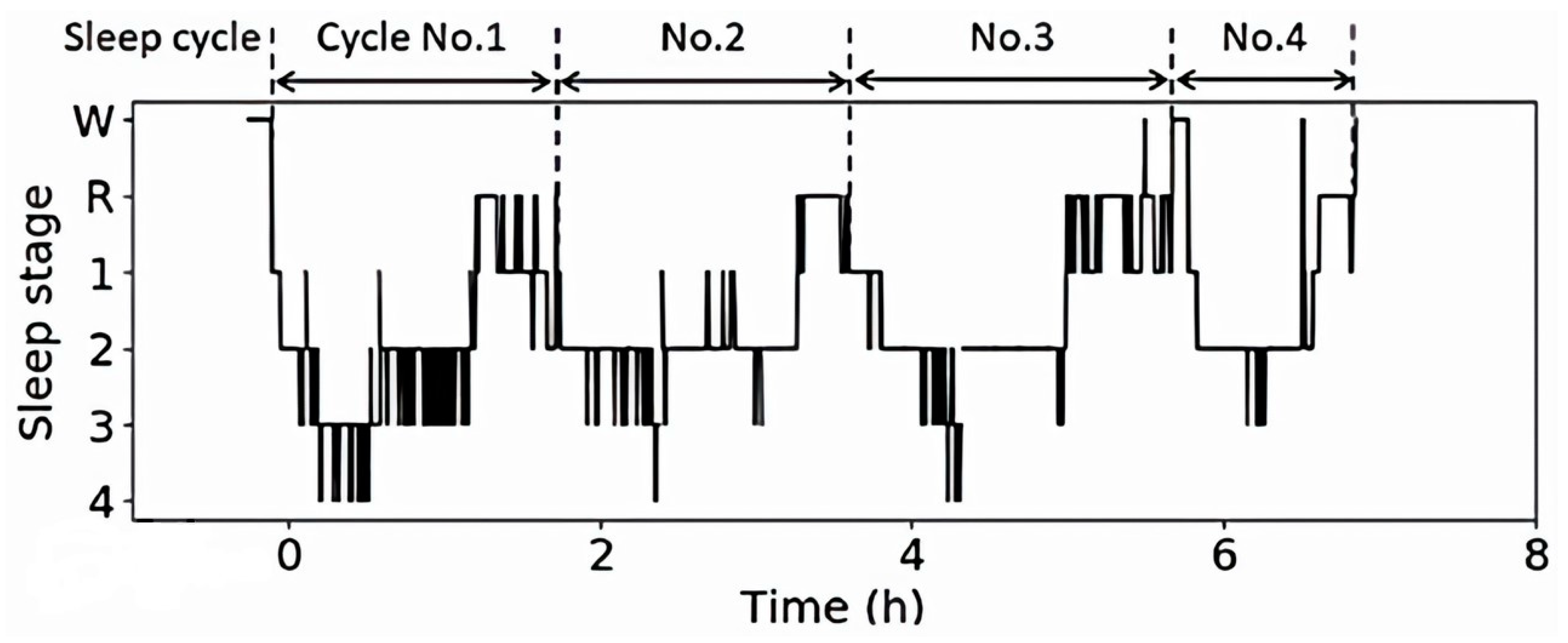 Applsci 13 09921 g001 Applsci 13 09921 g001