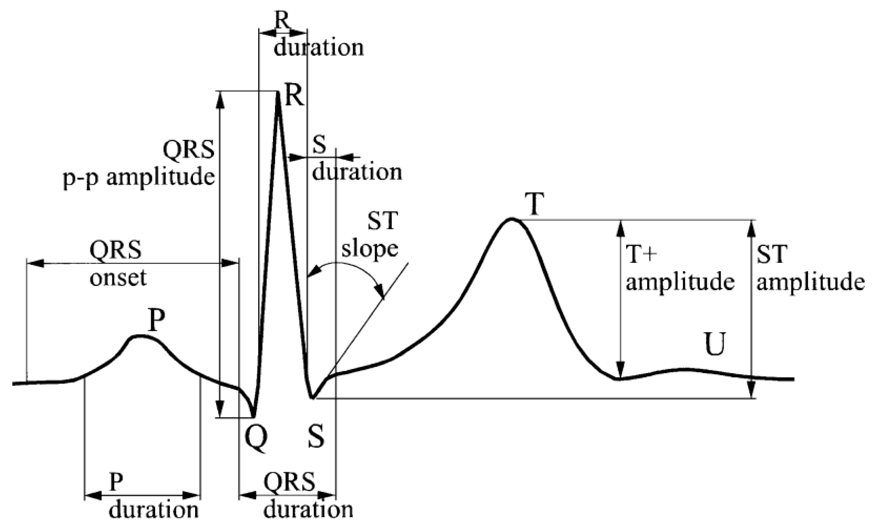 Applsci 13 09921 g002 Applsci 13 09921 g002