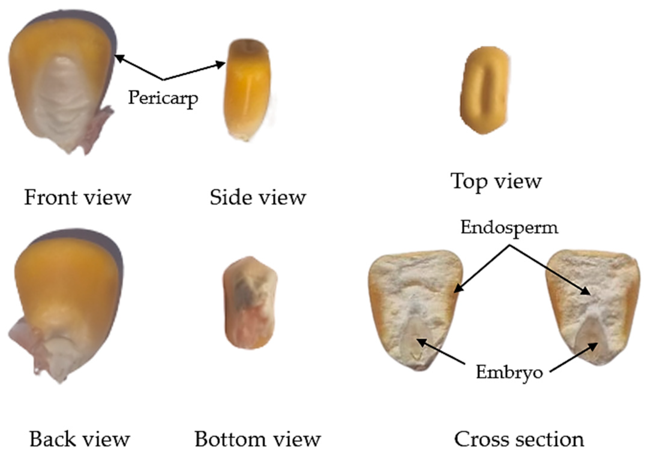 Applsci 13 09927 g001