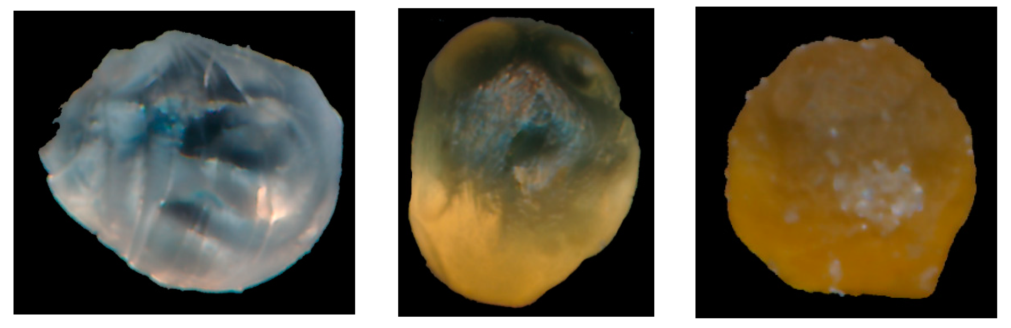 Applsci 13 09939 g003