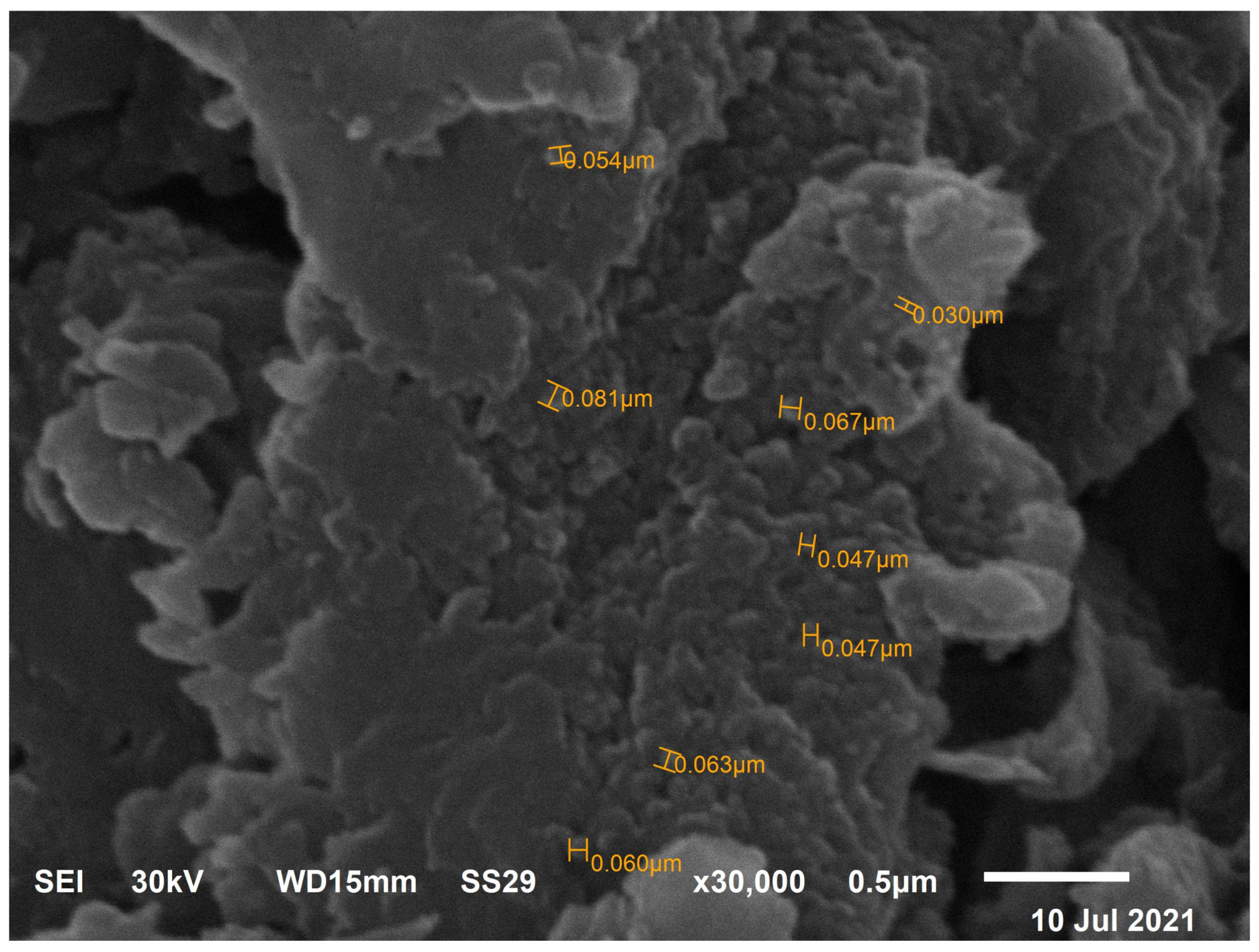 Applsci 13 09942 g004