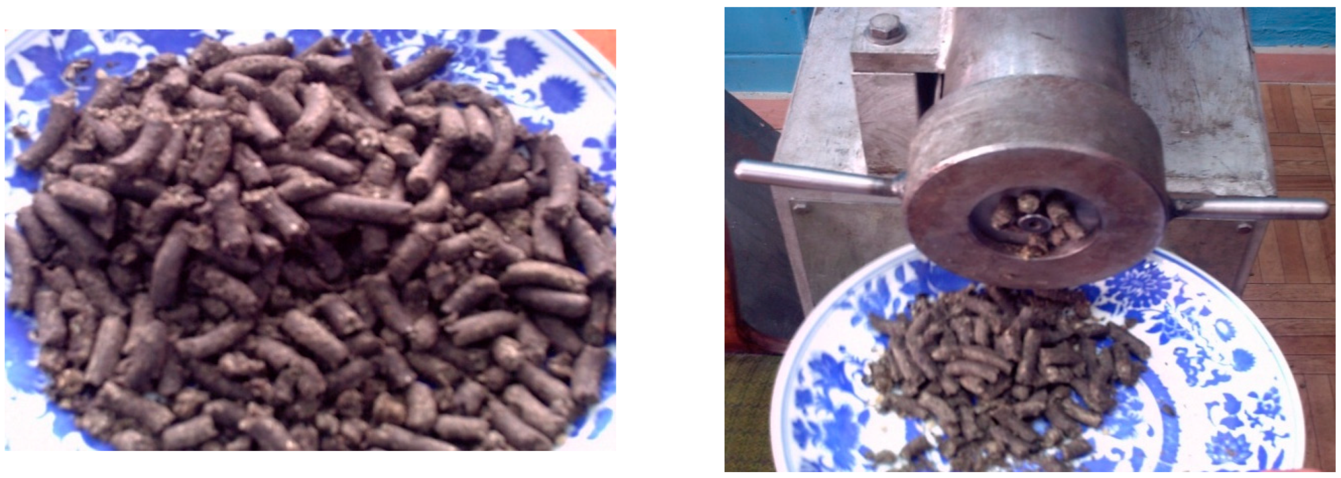 Applsci 13 09958 g011