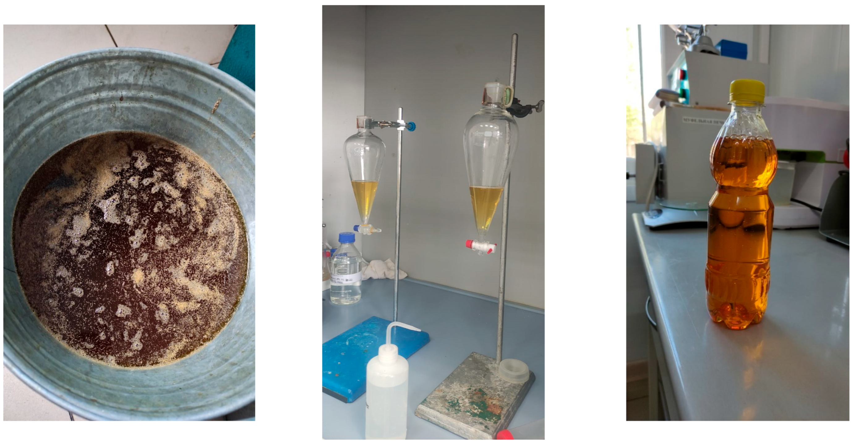 Applsci 13 09958 g012