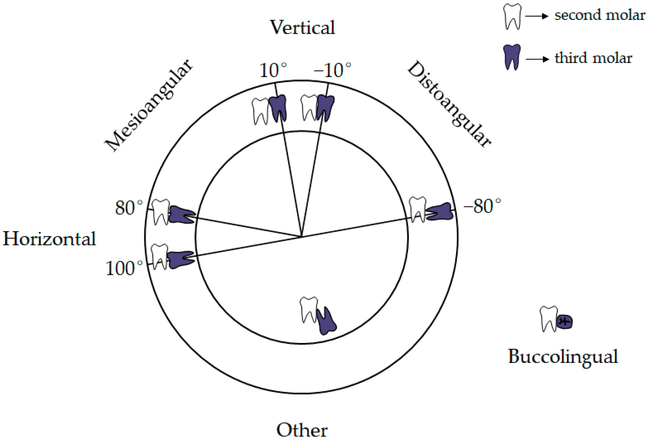 Applsci 13 09970 g002