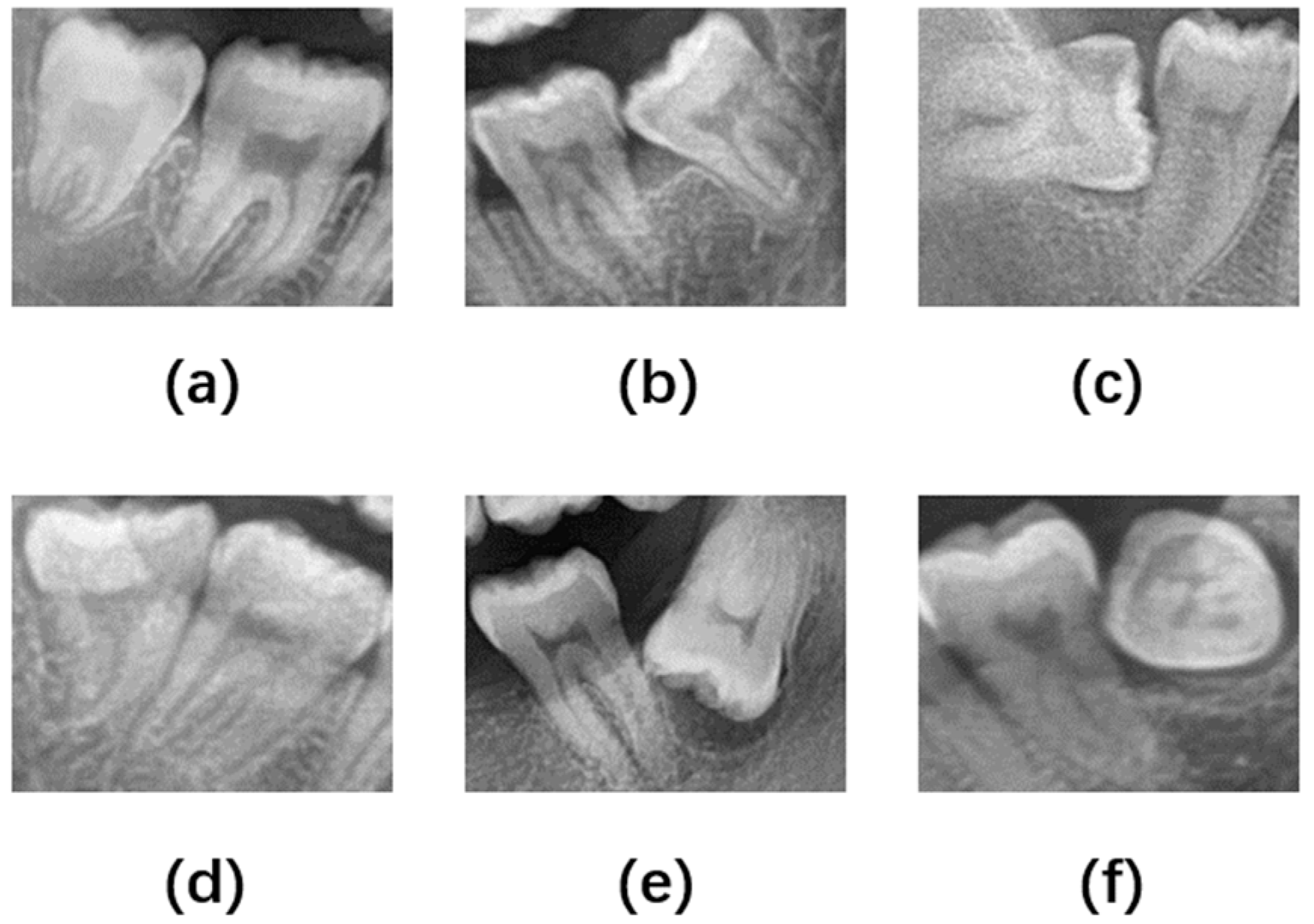 Applsci 13 09970 g003