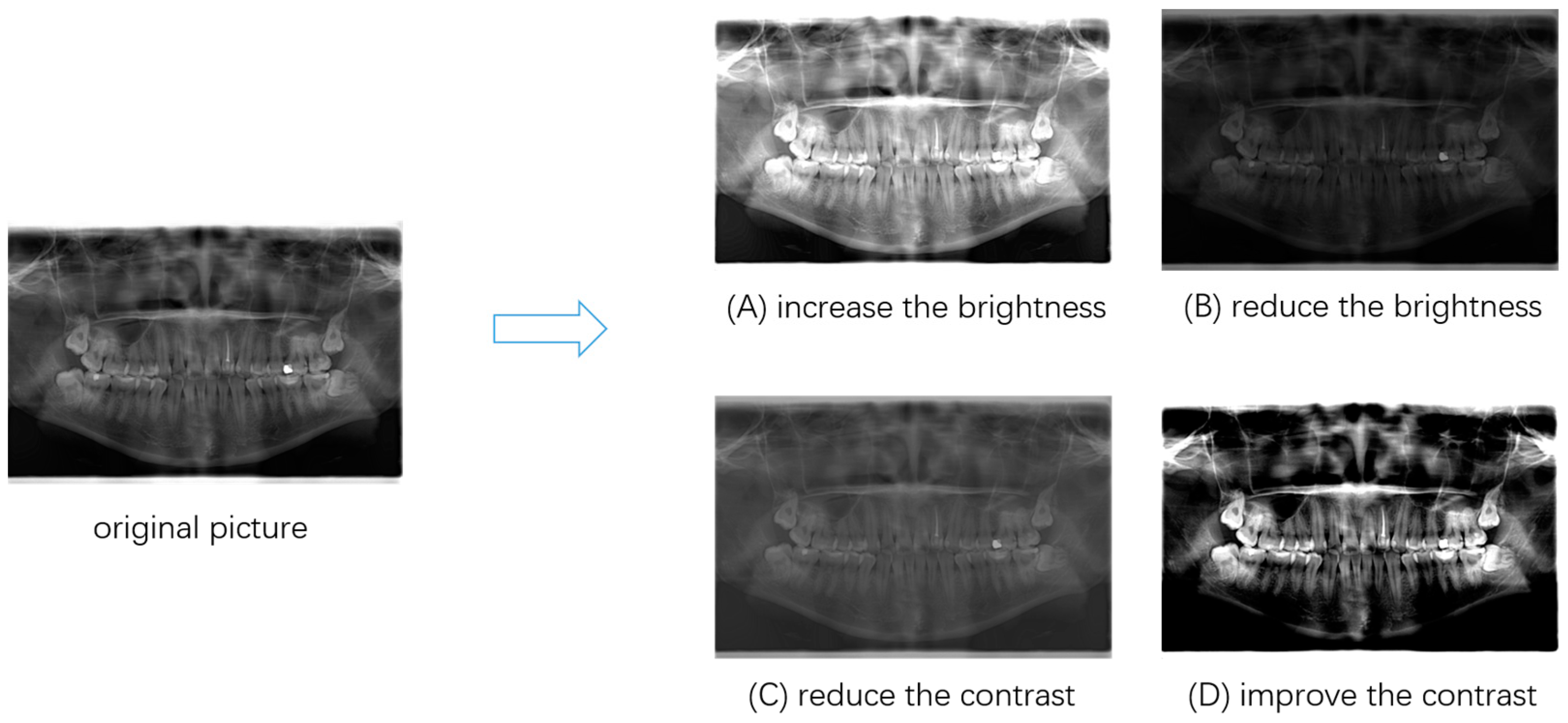 Applsci 13 09970 g005