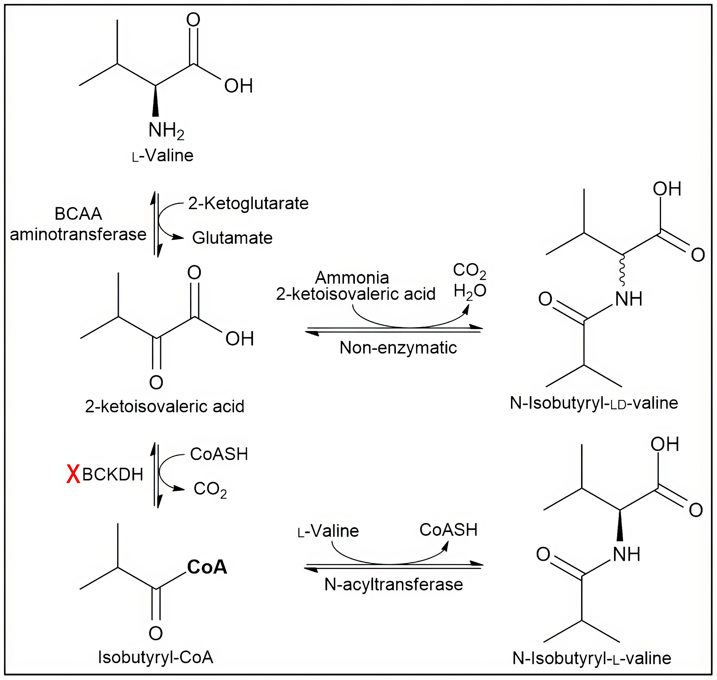 Applsci 13 10002 g002