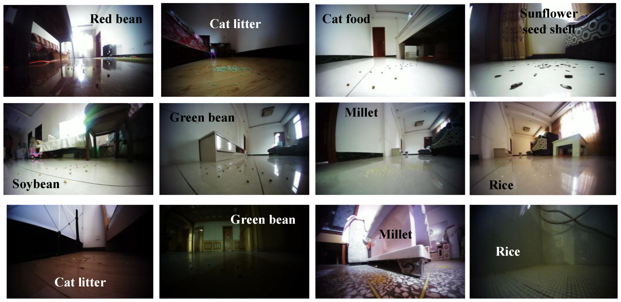 Applsci 13 10031 g001