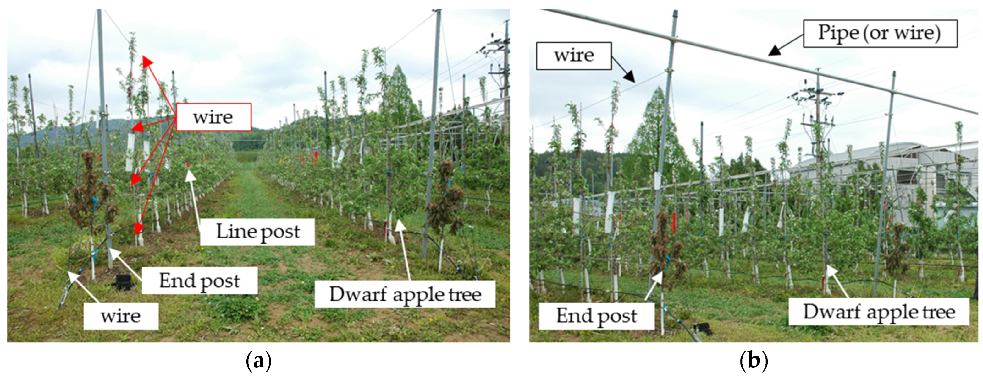 Applsci 13 10033 g001