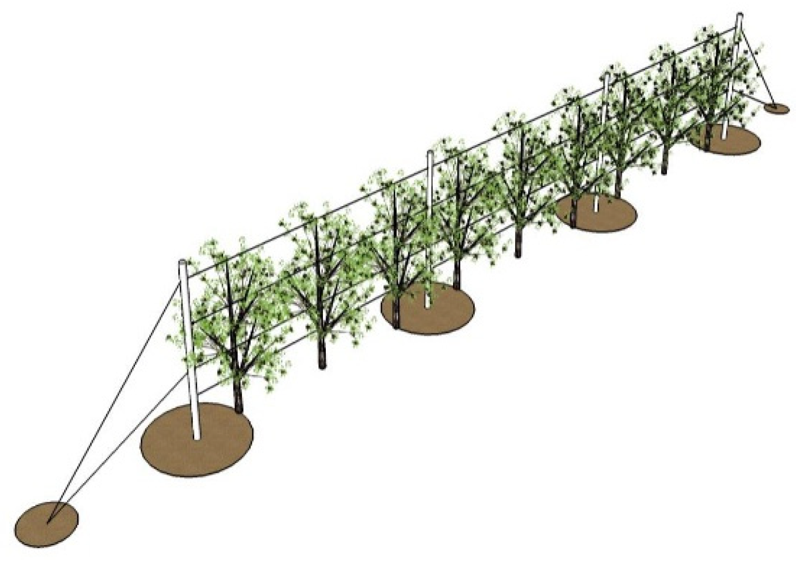 Applsci 13 10033 g020