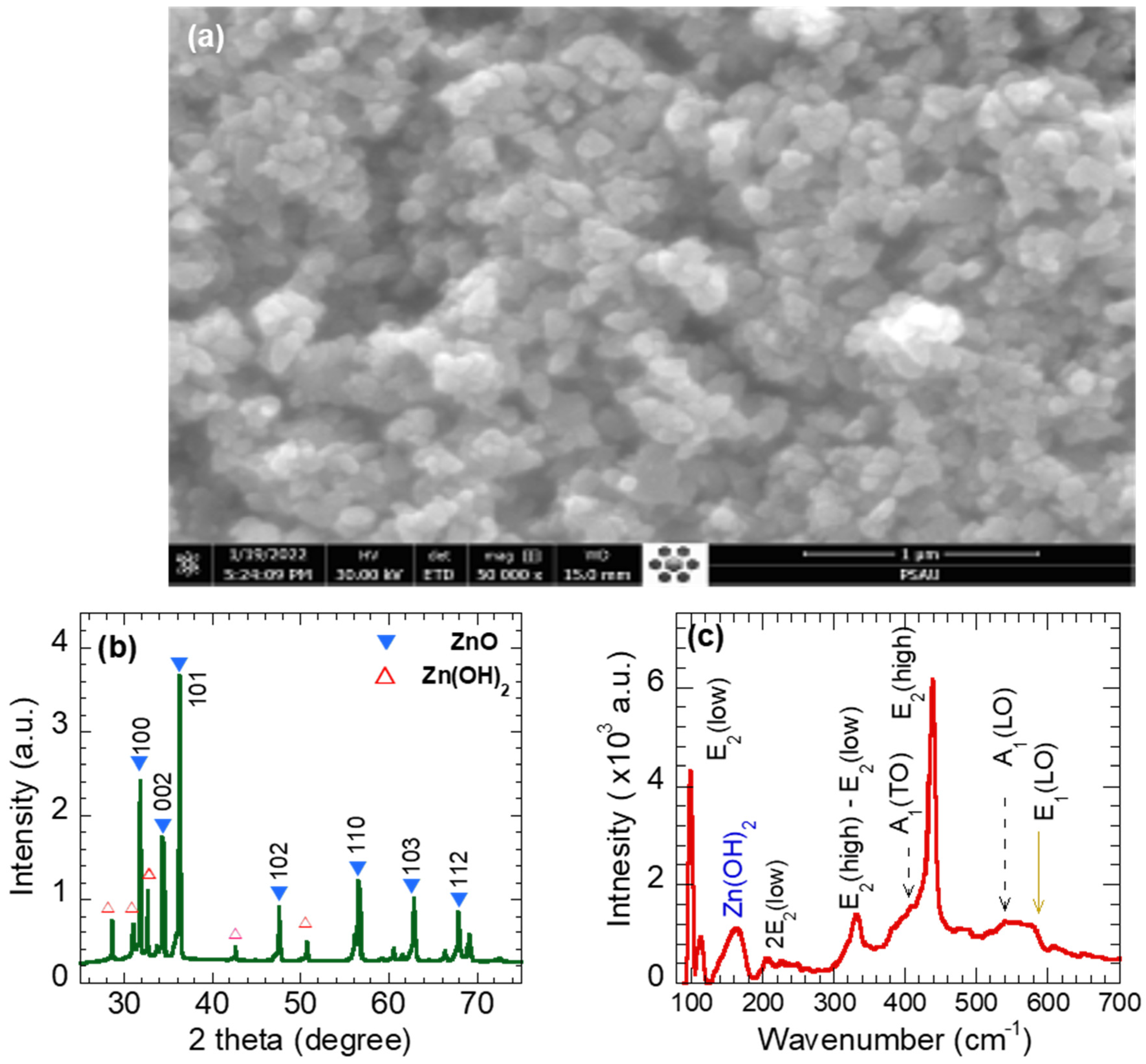 Applsci 13 10045 g002 Applsci 13 10045 g002